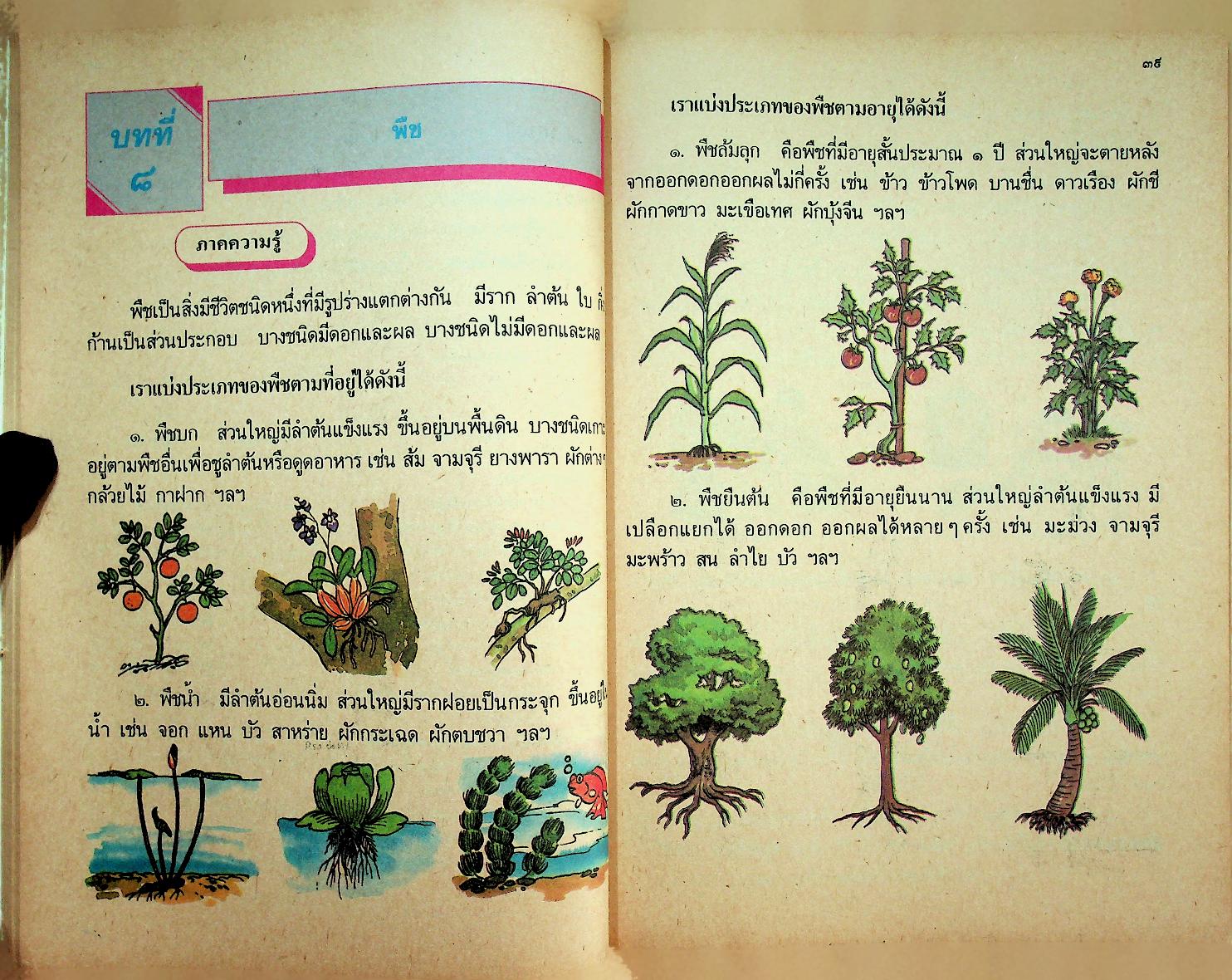 คู่มือครู หนังสือเรียนชุดทักษะกระบวนการอเนกประสงค์ สร้างเสริมประสบการณ์ชีวิต ชั้นประถมศึกษาปีที่ ๒