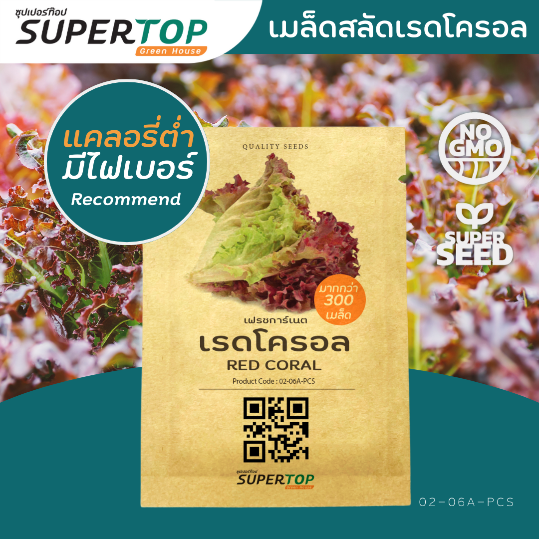 เมล็ดพันธุ์ผักสลัดออร์แกนิก RAILUNGTOP | เก็บจากฝัก สดจากไร่ลุงท๊อป ออร์แกนิก