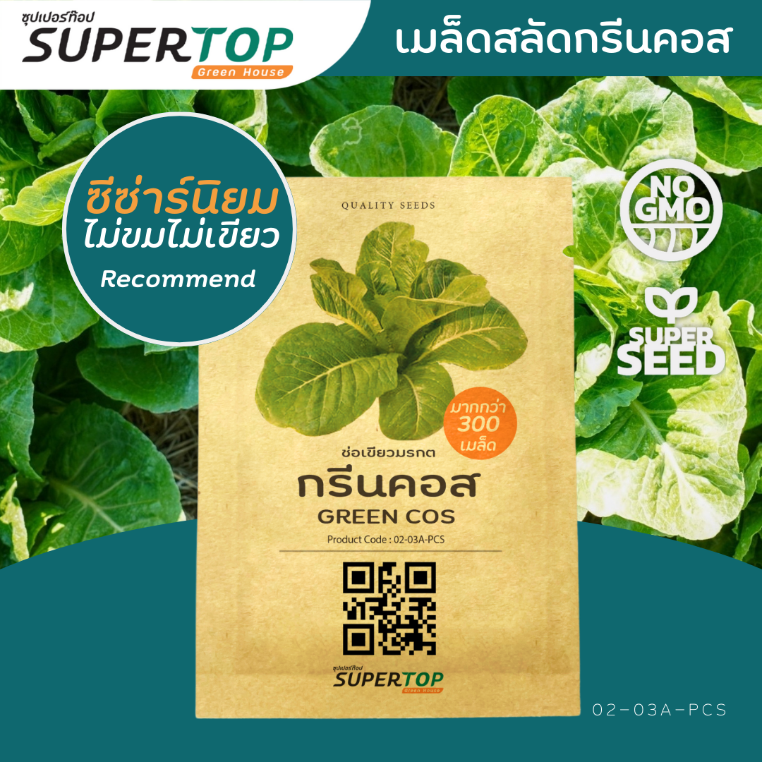 เมล็ดพันธุ์ผักสลัดออร์แกนิก RAILUNGTOP | เก็บจากฝัก สดจากไร่ลุงท๊อป ออร์แกนิก