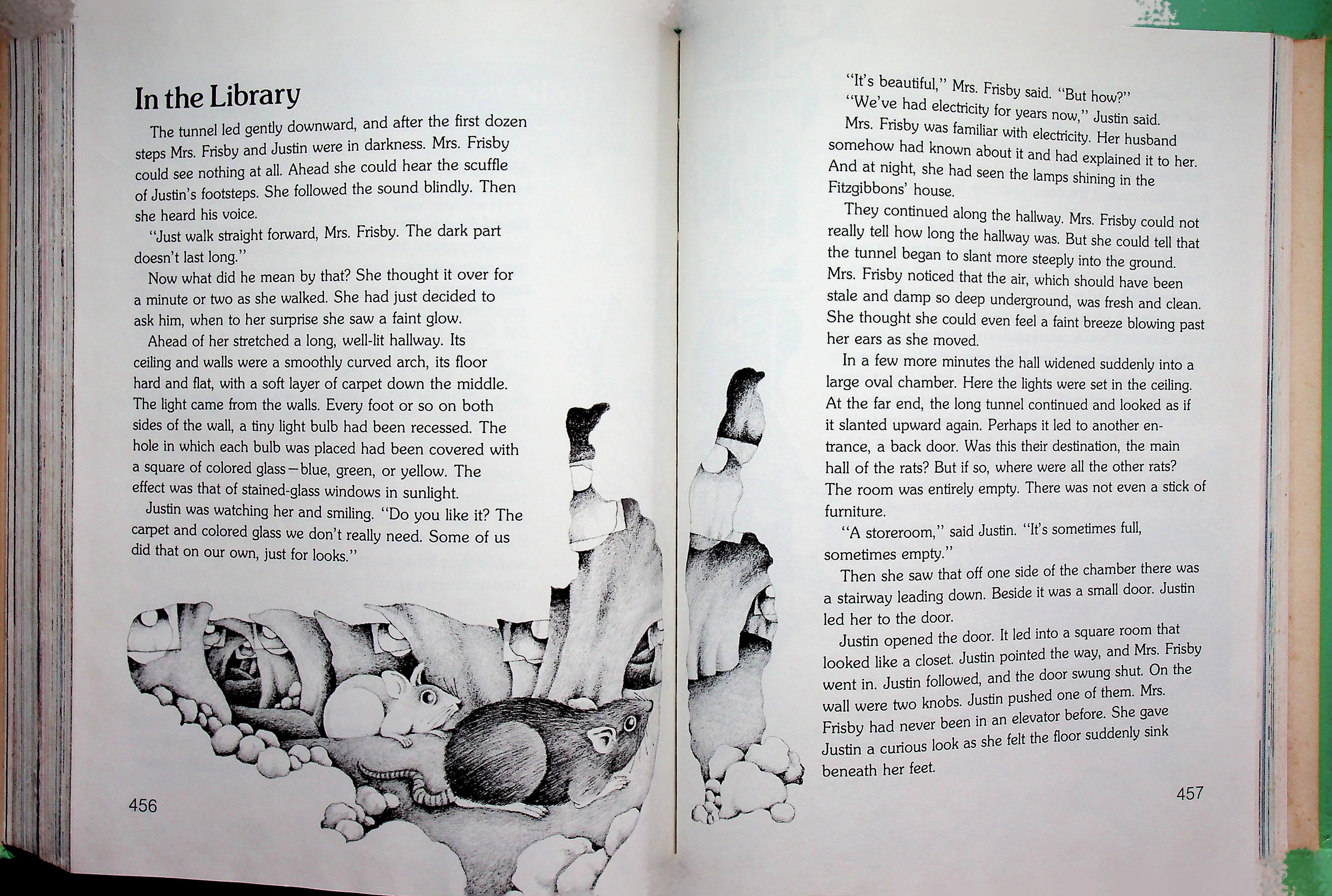 MAKING CHOICES : HEATH AMERICAN READERS