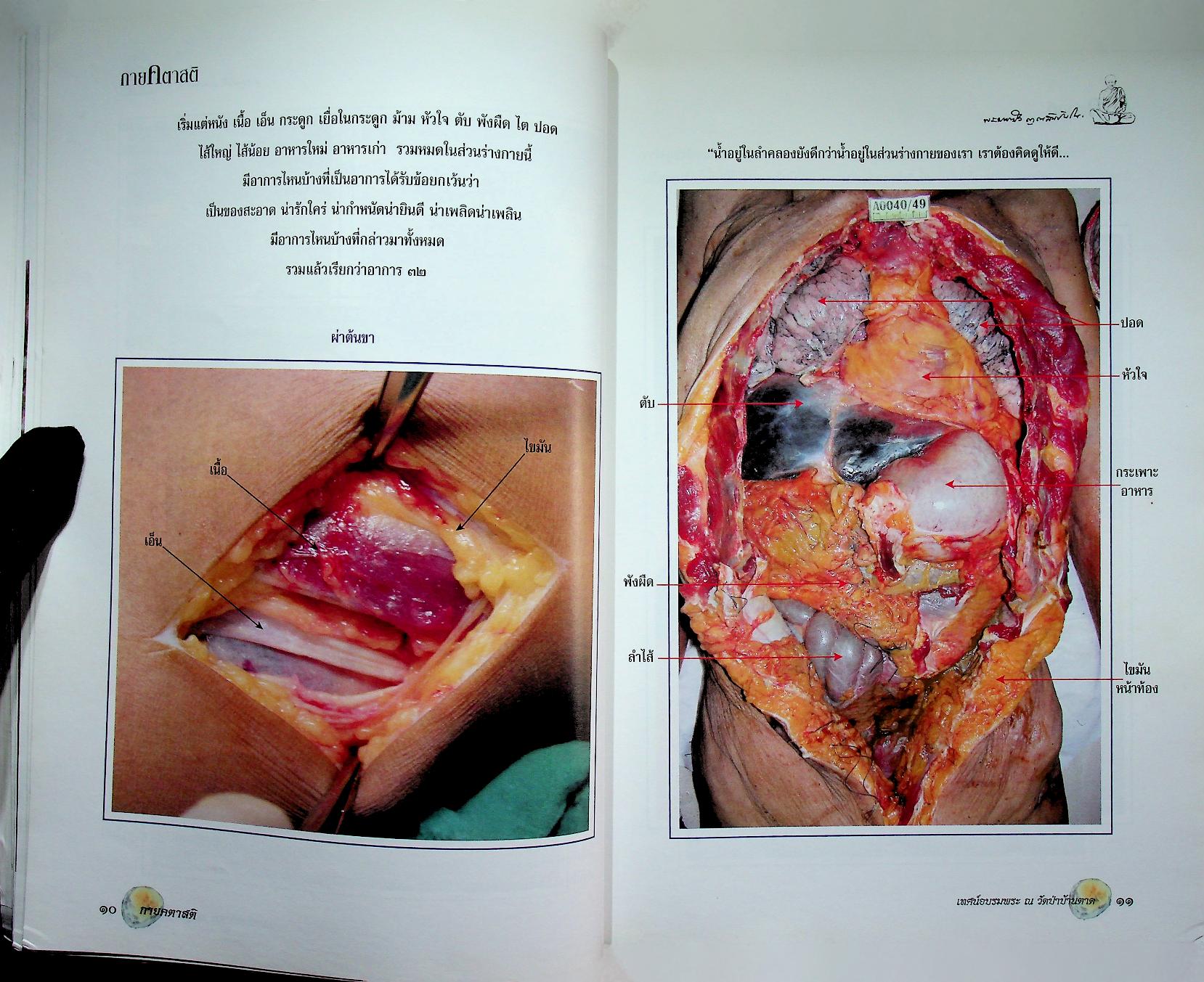 กายคตาสติ พระพุทธเจ้าทุกพระองค์ทรงสอน...กายคตาสติ