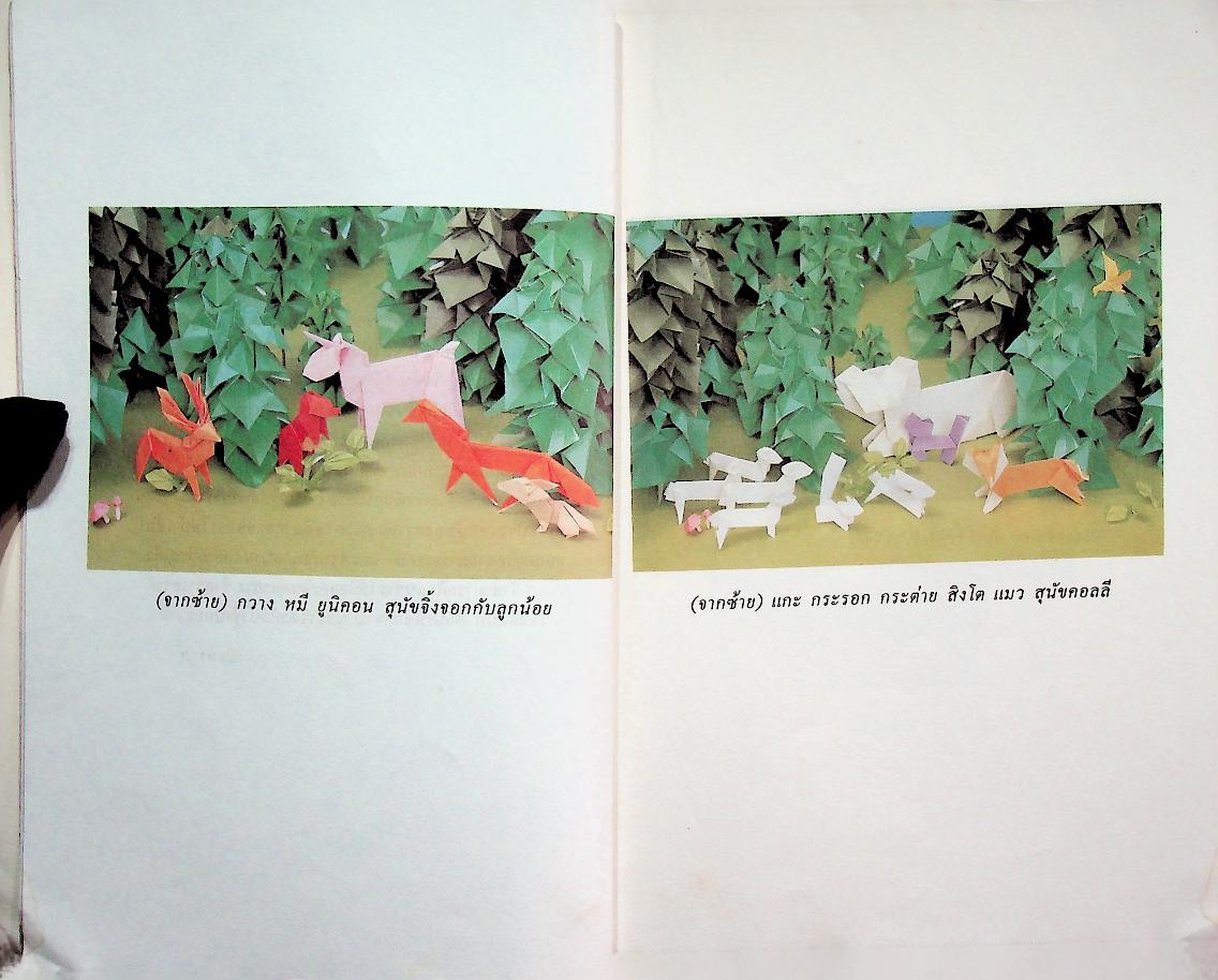 โลกสวยด้วยกระดาษ