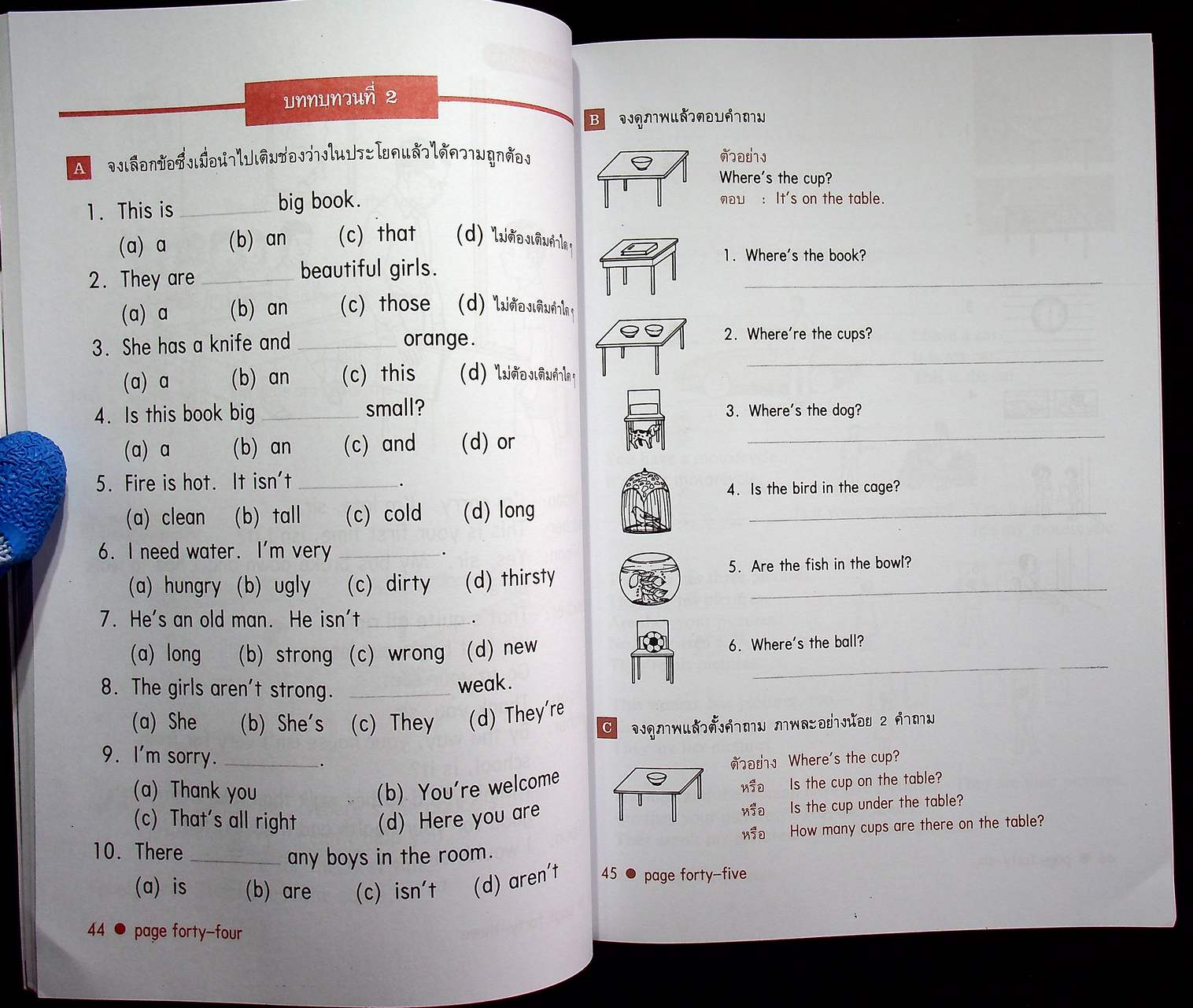 NEW STANDARD ENGLISH 5