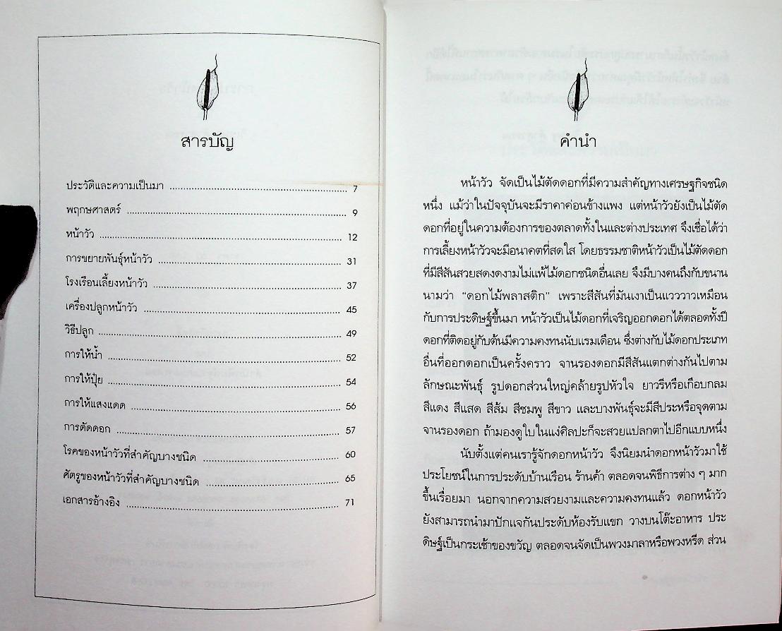 การปลูกหน้าวัว