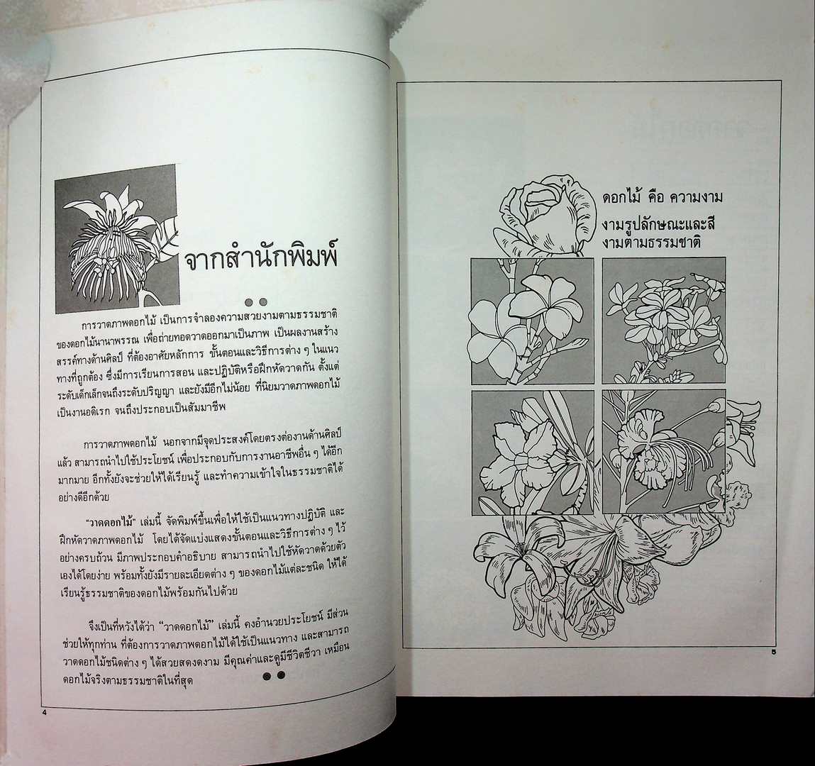 วาดดอกไม้