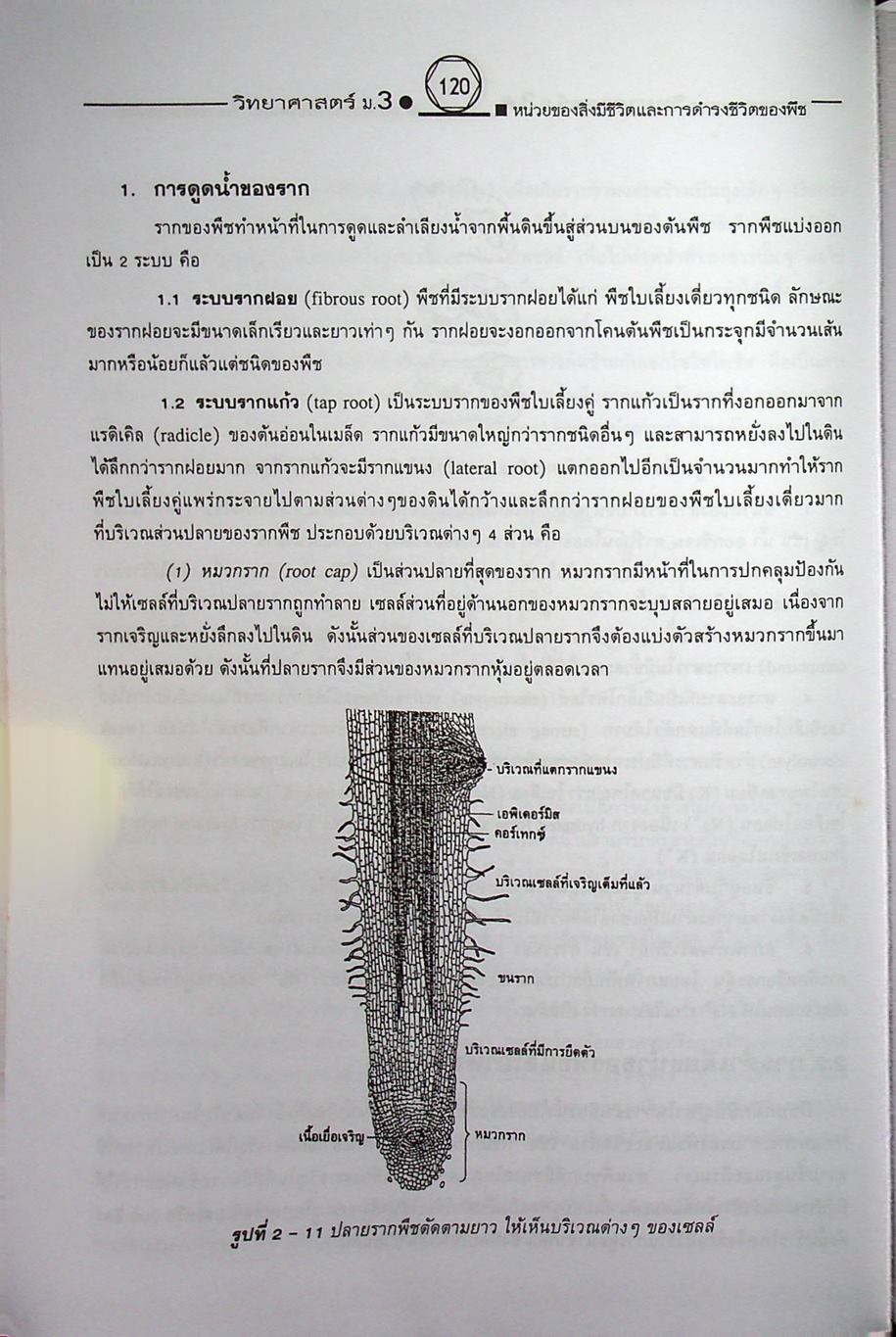 คู่มือเตรียมสอบสาระการเรียนรู้พื้นฐาน วิทยาศาสตร์ ม.3 ชีวิตกับสิ่งแวดล้อม สิ่งมีชีวิตกับกระบวนการดำรงชีวิต