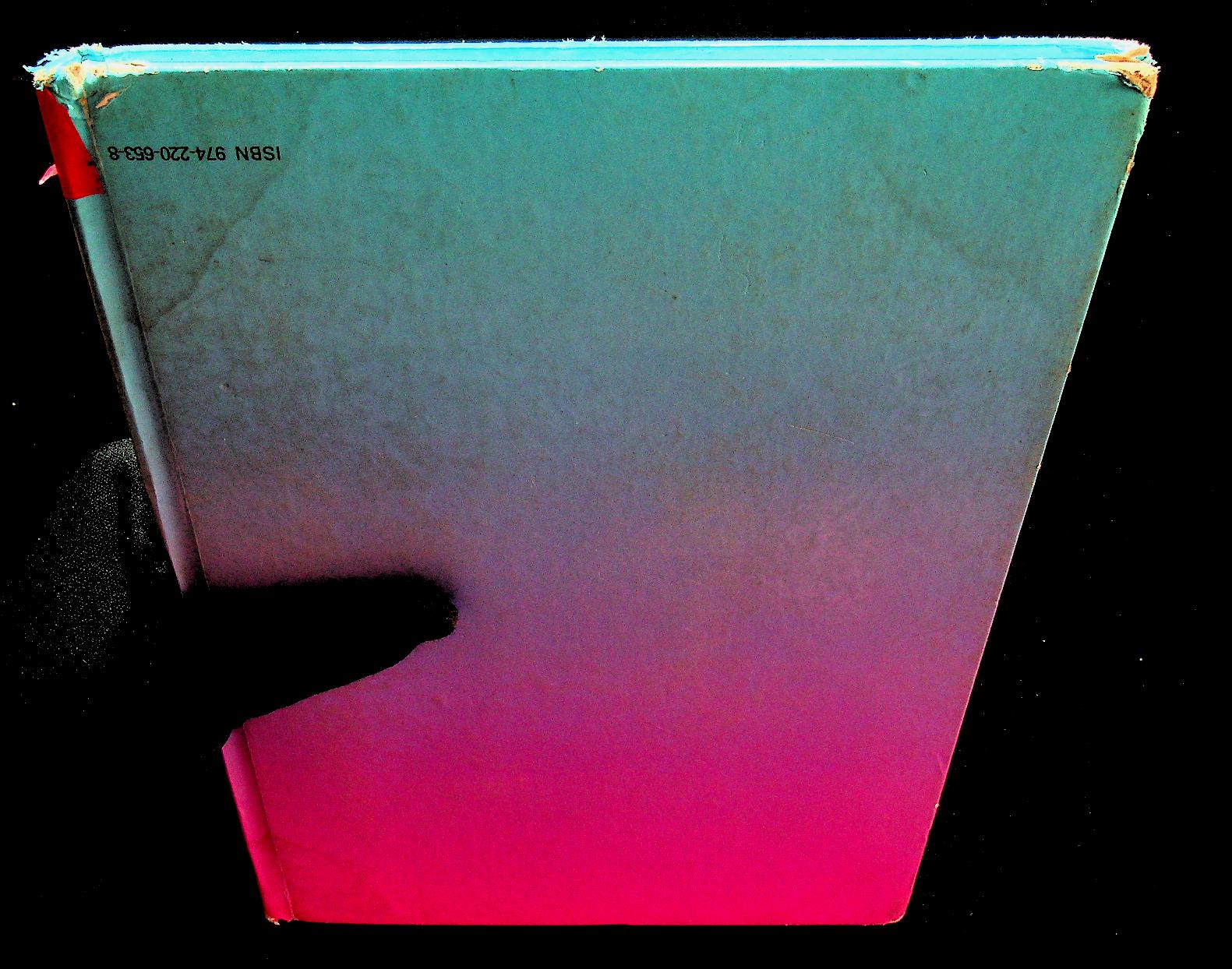 หนังสืออ่านเพิ่มเติมประสบการณ์ชีวิต ชีวิตเจ้าทองแดง