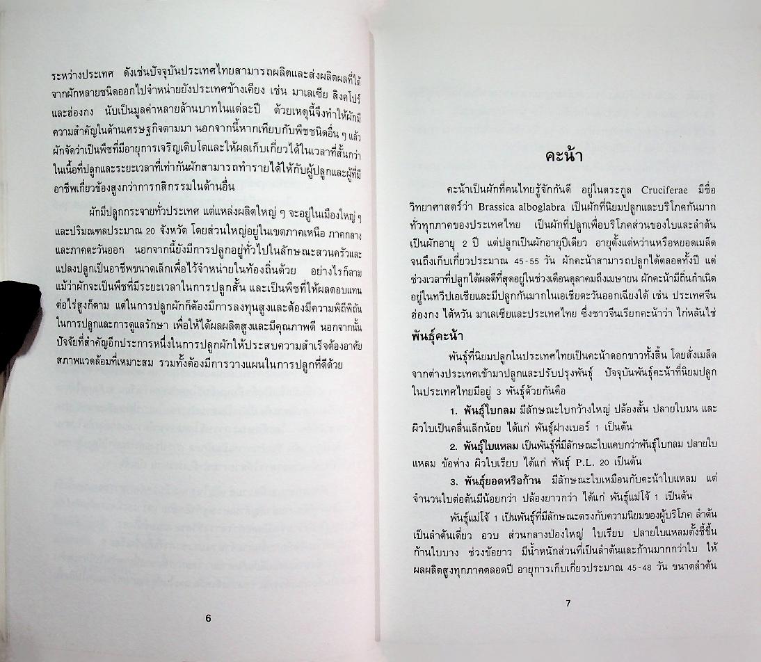 ผักกินใบ