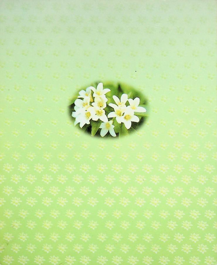 แก้วกานท์ รวมบทร้อยกรองนักเรียนชนะการประกวด ปี ๒๕๕๑