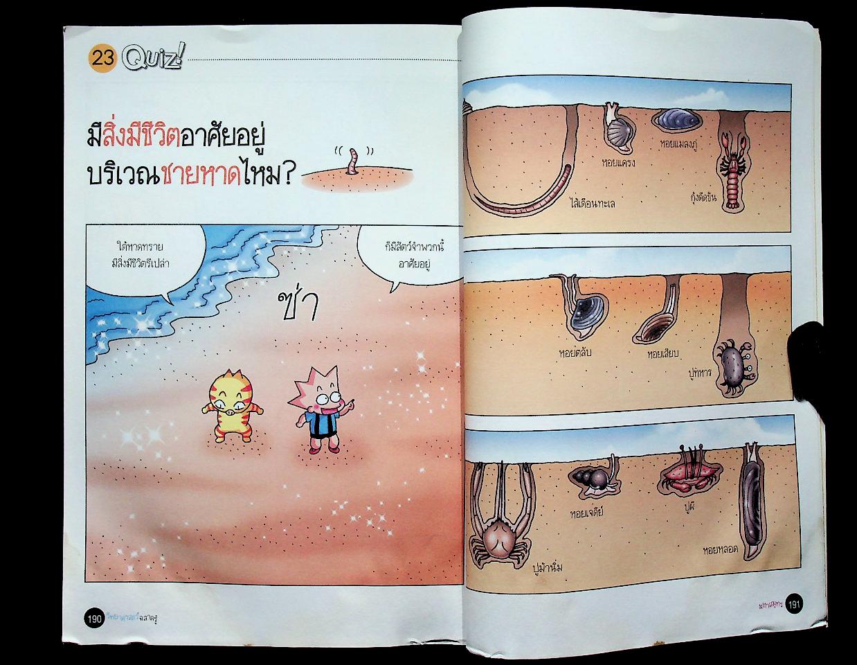 วิทยาศาสตร์ฉลาดรู้ เรื่อง มหาสมุทร