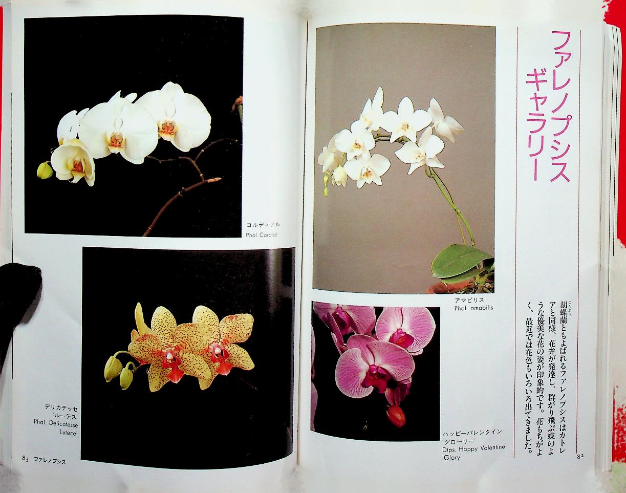 JOYFUL GREEN LIFE : Orchid (ดอกกล้วยไม้ ฉบับภาษาญี่ปุ่น)