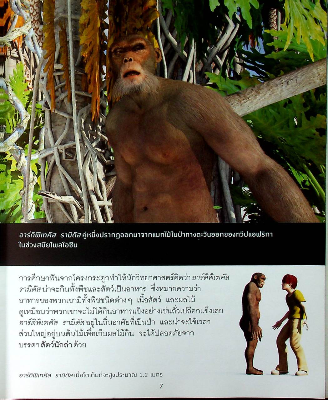 โลกยุคก่อนประวัติศาสตร์ กำเนิดมนุษย์