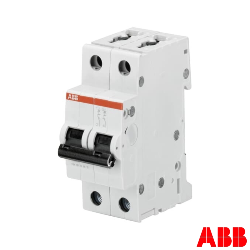 SY202-C100 เซอร์กิตเบรกเกอร์ 100Amp ,2Pole ,10KA (ABB)