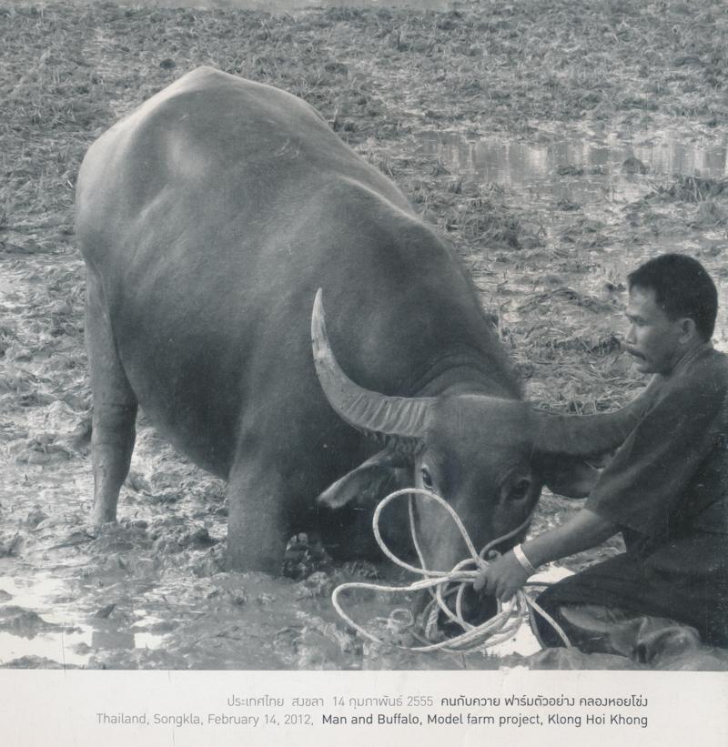 ควงกล้องท่องโลก ภาพถ่ายฝีพระหัตถ์ในสมเด็จพระเทพรัตนราชสุดา สยามบรมราชกุมารี 2554-2555