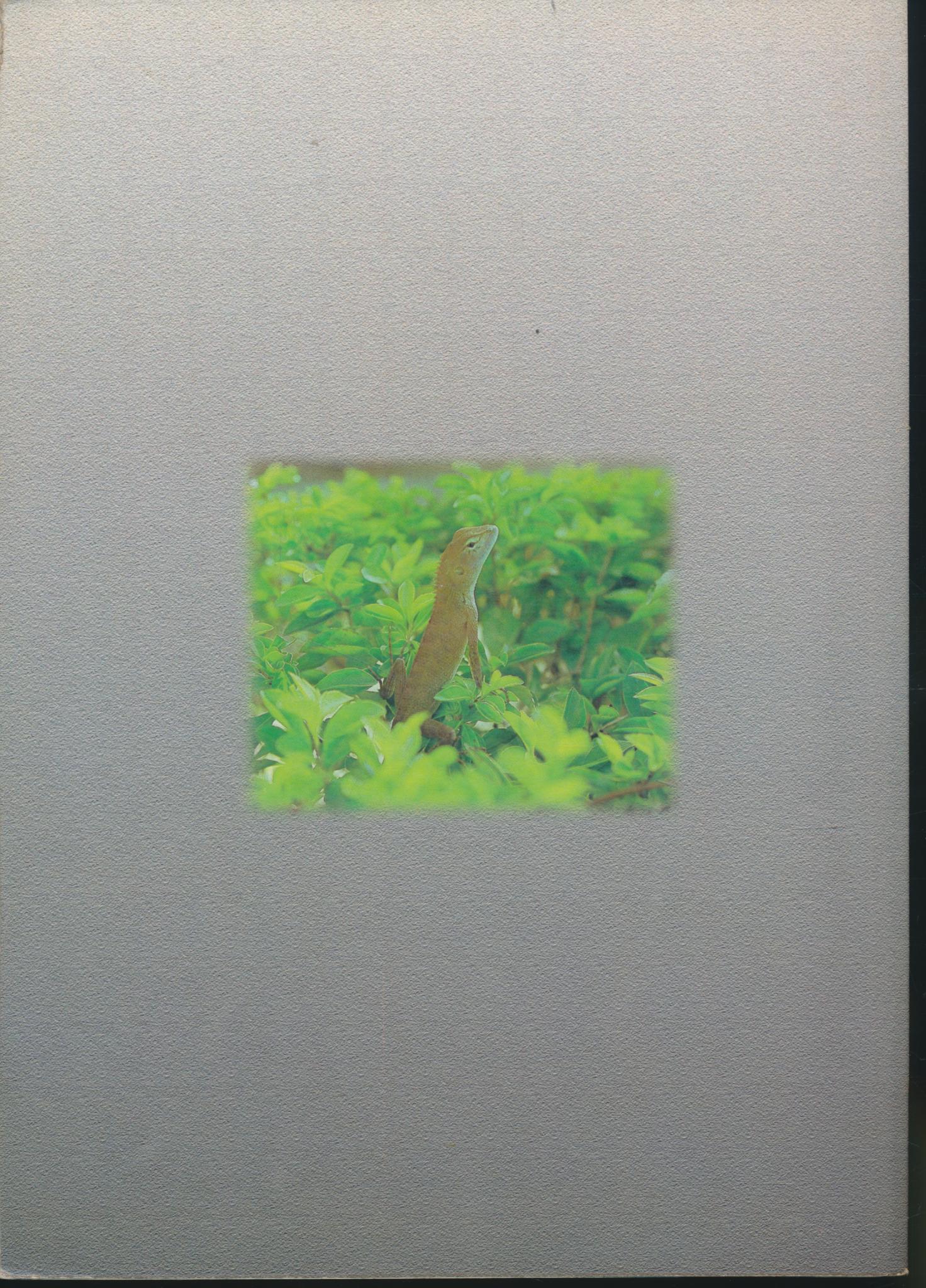 คู่มือครูสร้างเสริมประสบการณ์ชีวิต วิทยาศาสตร์ ชั้นประถมศึกษาปีที่ ๕