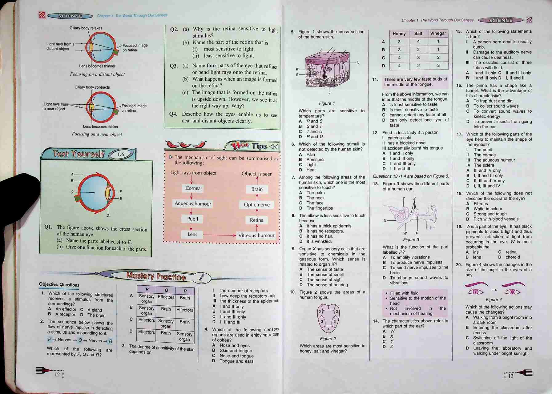 Mathayom 2 FOCUS SCIENCE