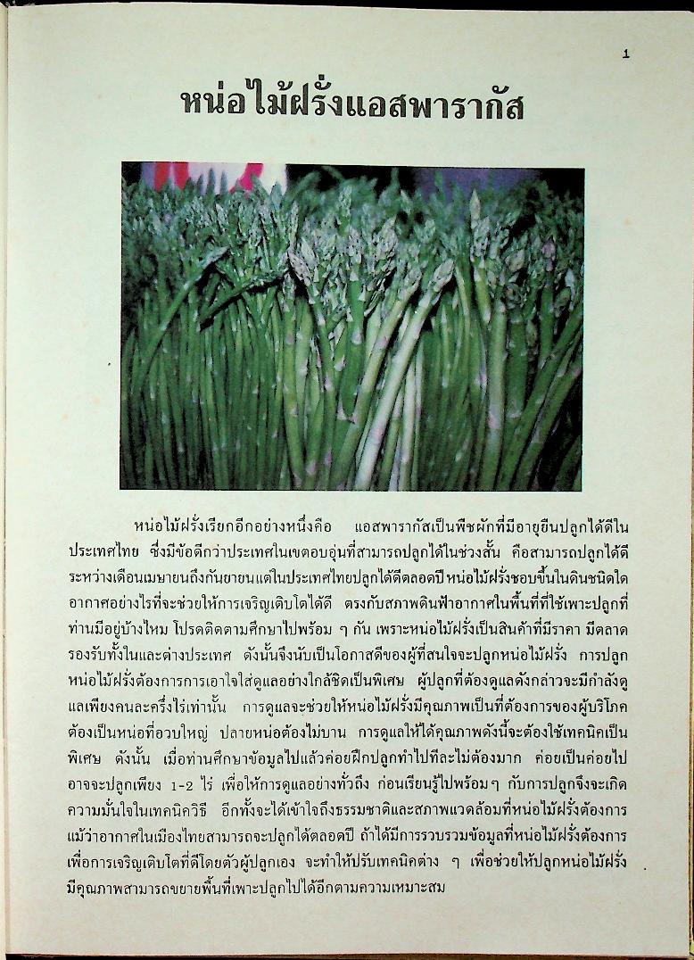 เกษตรธรรมชาติเชิงธุรกิจ พืชอุตสาหกรรม