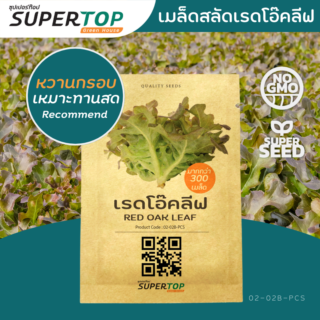 เมล็ดพันธุ์ผักสลัดออร์แกนิก RAILUNGTOP | เก็บจากฝัก สดจากไร่ลุงท๊อป ออร์แกนิก