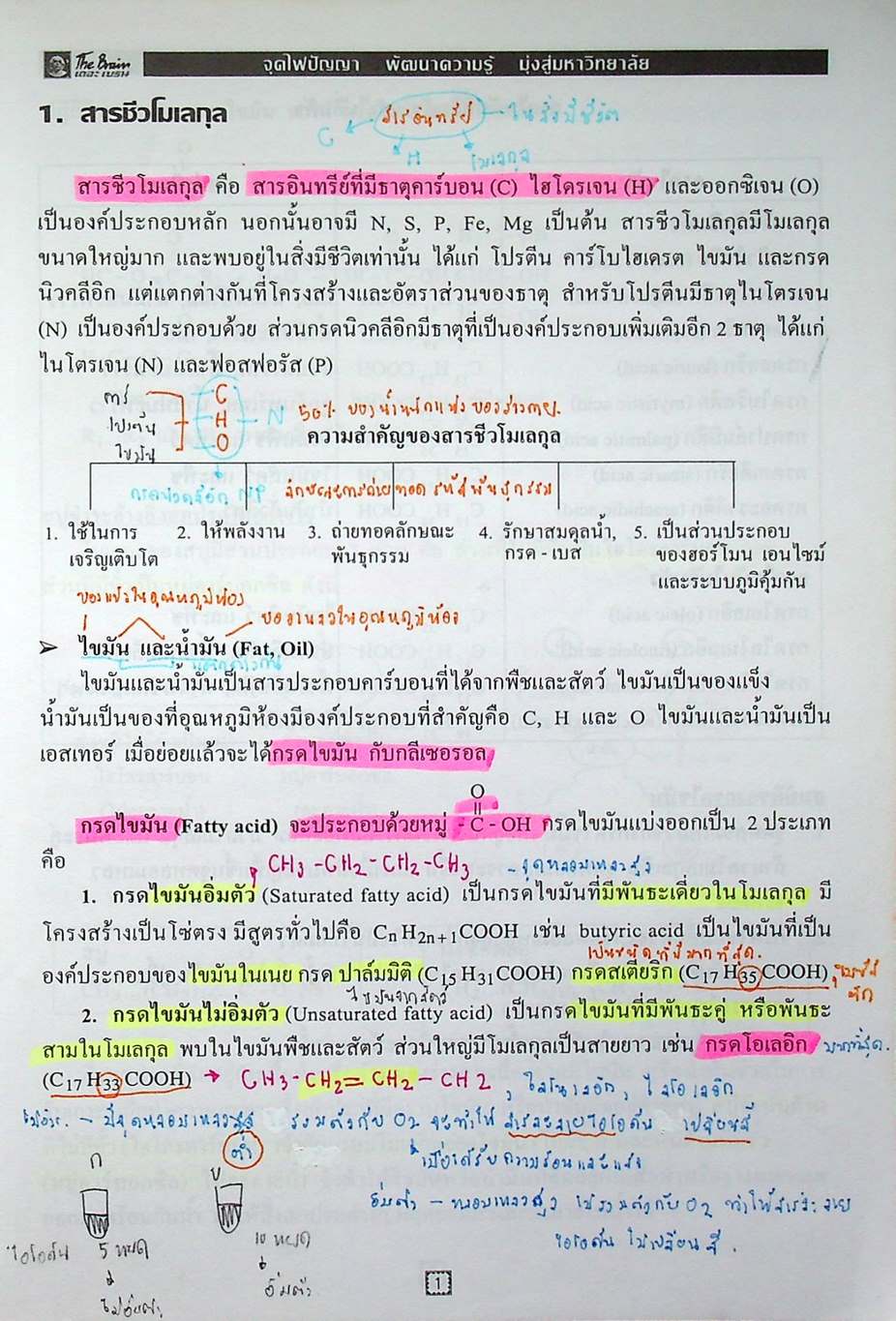 The Brain เดอะเบรน เอกสารประกอบการเรียน วิชา วิทยาศาสตร์ O-NET เรื่อง สารชีวโมเลกุล ปิโตรเลียม พอลิเมอร์ ปฏิกิริยาเคมี โครงสร้างของอะตอมและตารางธาตุ ธาตุและสารประกอบ