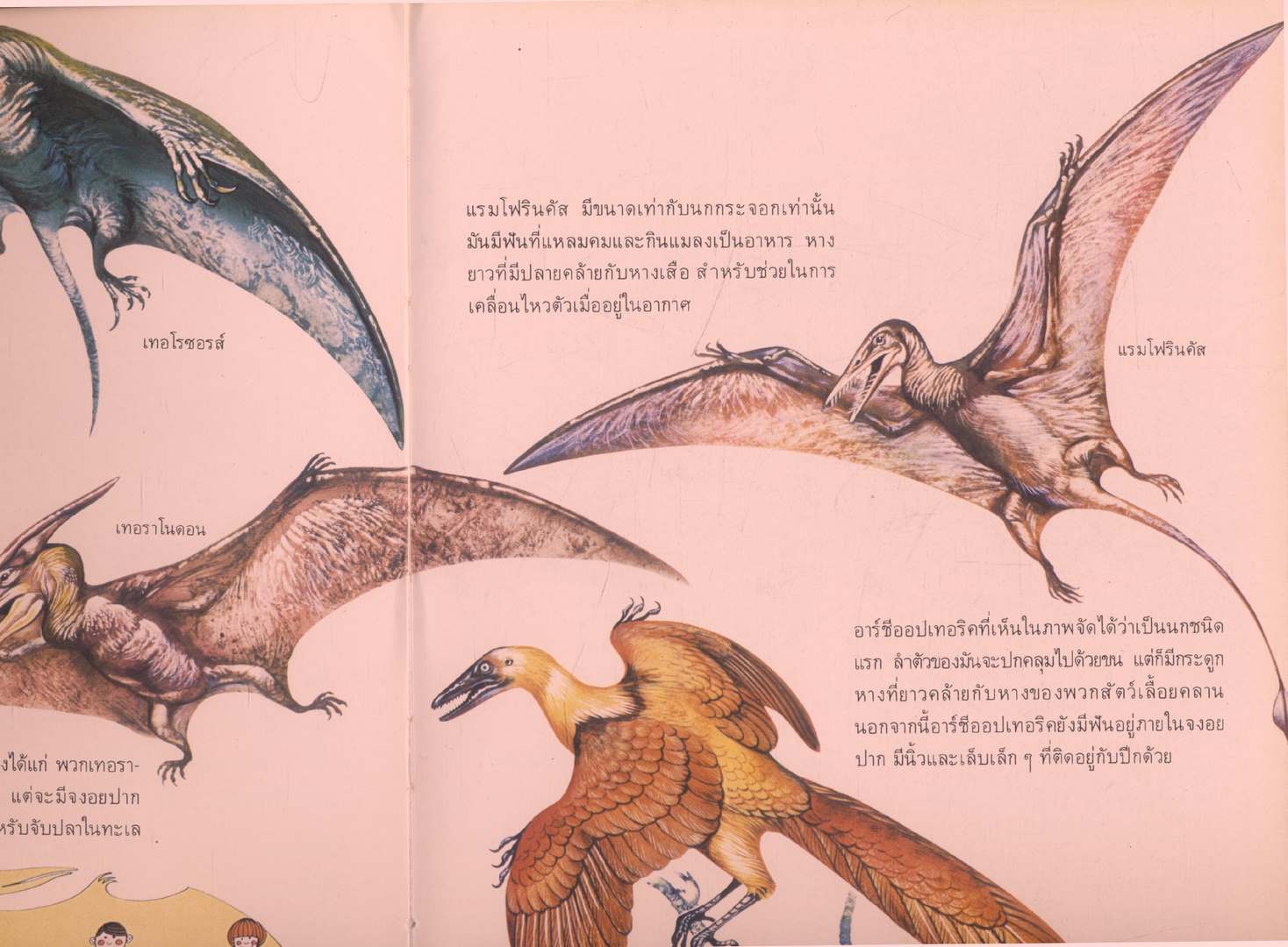 สารานุกรมเยาวชน นานาความรู้ชุดที่ 1 โลกดึกดำบรรพ์