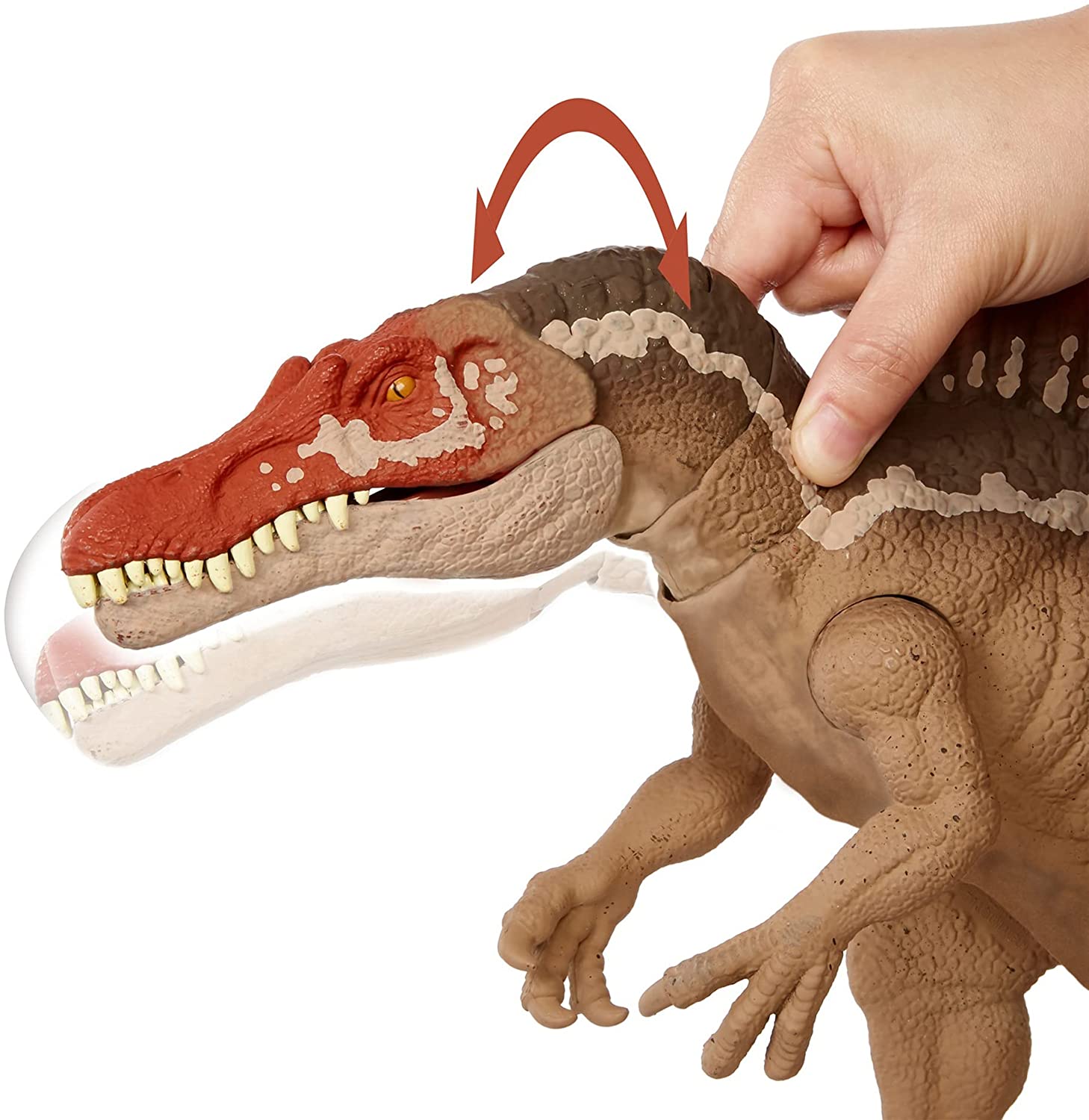 **MTS Toys**Mattel Jurassic World Camp Cretaceous : HCG54 Spinosaurus [ความยาวจากหัวถึงหาง 55 ซ.ม.]