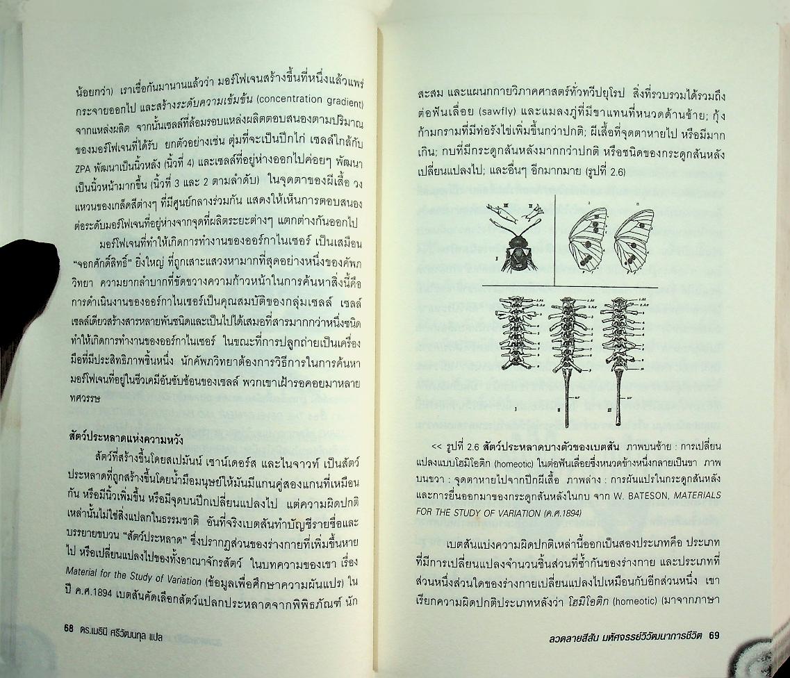 ลวดลายสีสัน มหัศจรรย์วิวัฒนาการชีวิต : Endless Forms Most Beautiful