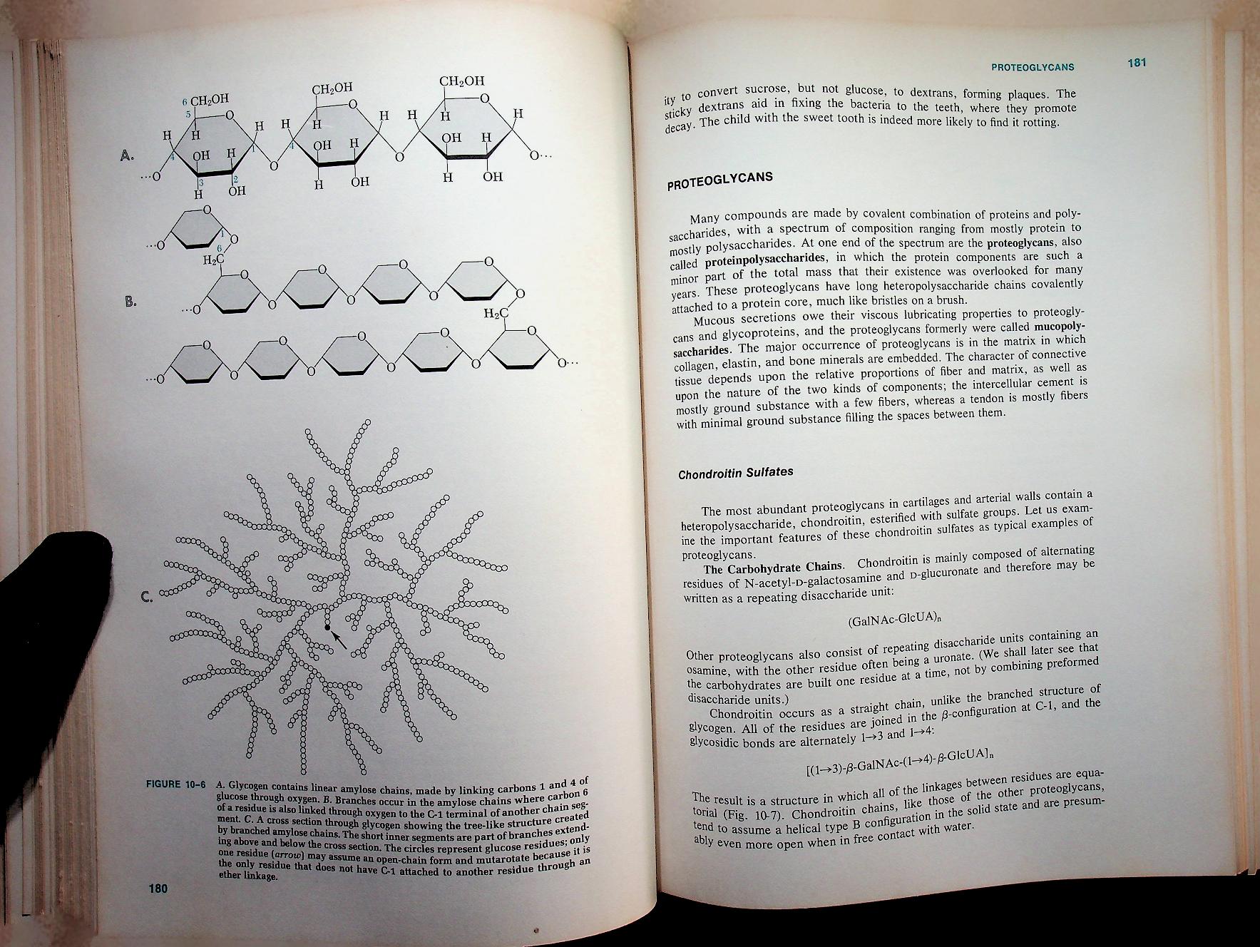 BIOCHEMISTRY A Functional Approach