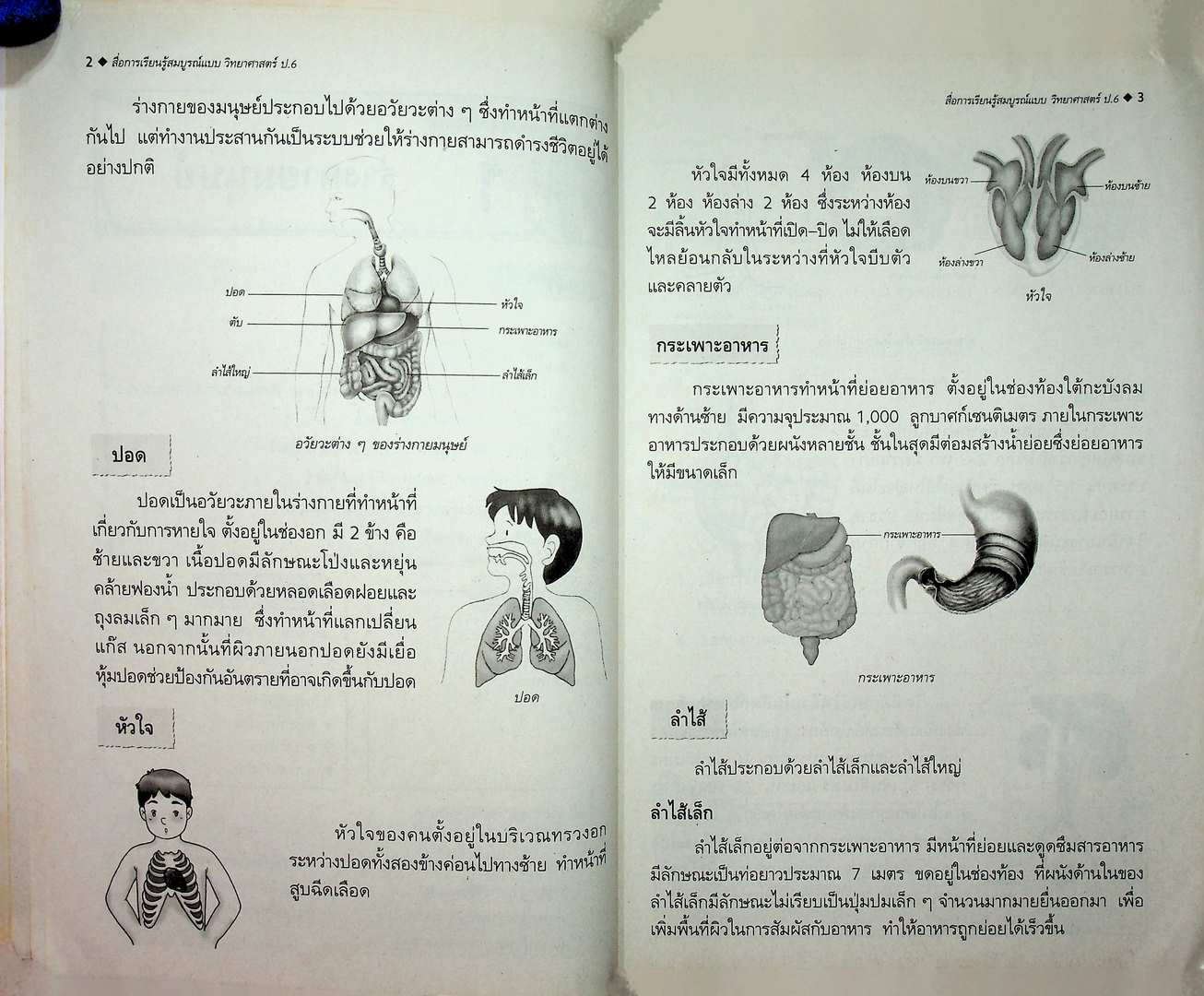 สื่อการเรียนรู้ วิทยาศาสตร์ สมบูรณ์แบบ ชั้นประถมศึกษาปีที่ 6