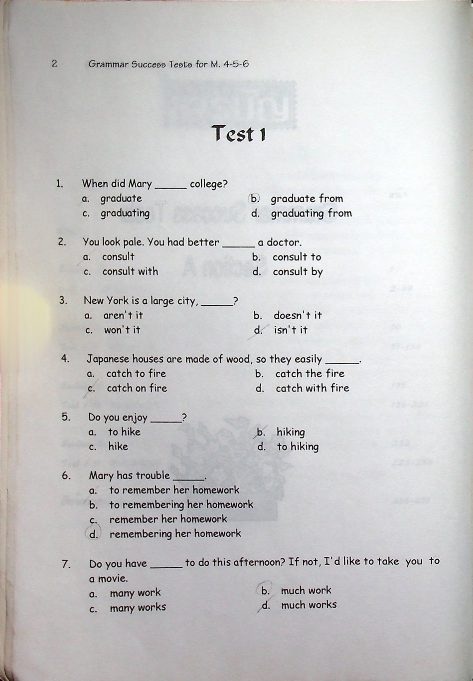 Grammar Success Tests for 4-5-6