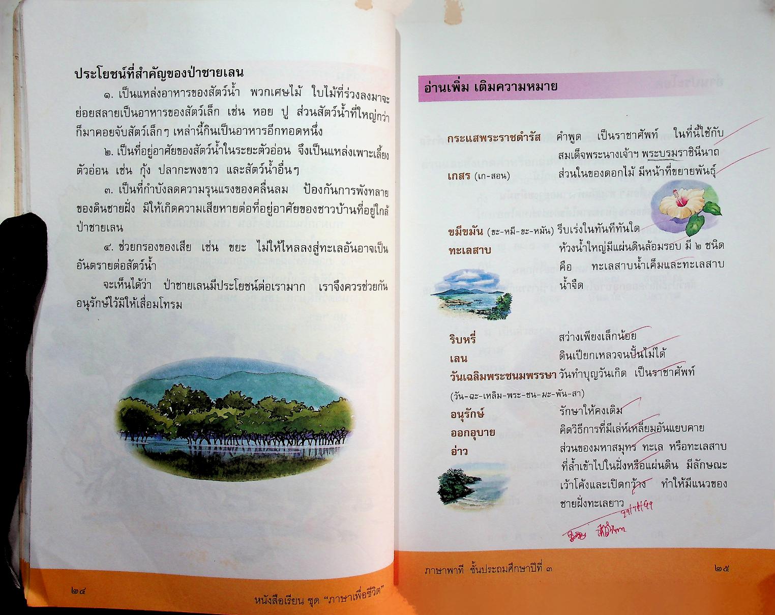 หนังสือเรียนสาระการเรียนรู้พื้นฐาน ชุด ภาษาเพื่อชีวิต ภาษาพาที ชั้นประถมศึกษาปีที่ ๓