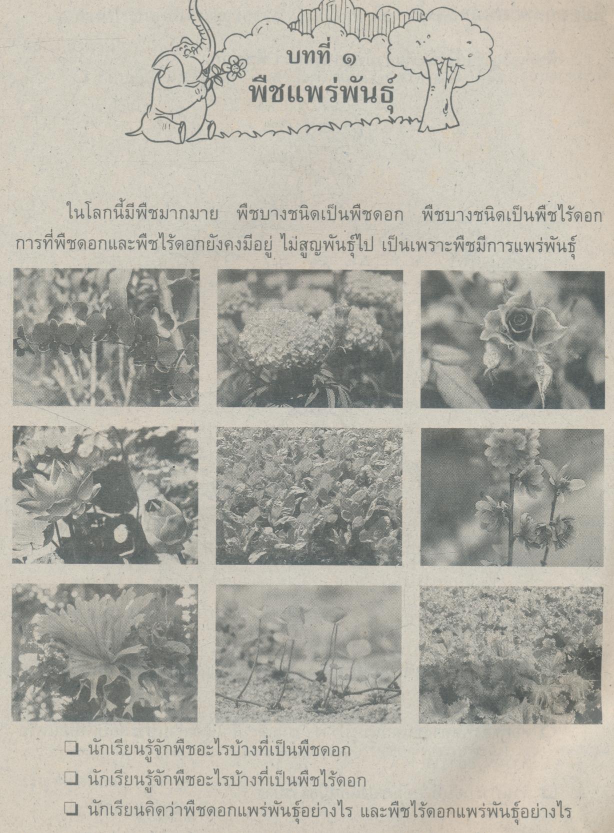 หนังสือเรียน สร้างเสริมประสบการณ์ชีวิต วิทยาศาสตร์ ชั้นประถมศึกษาปีที่ ๖