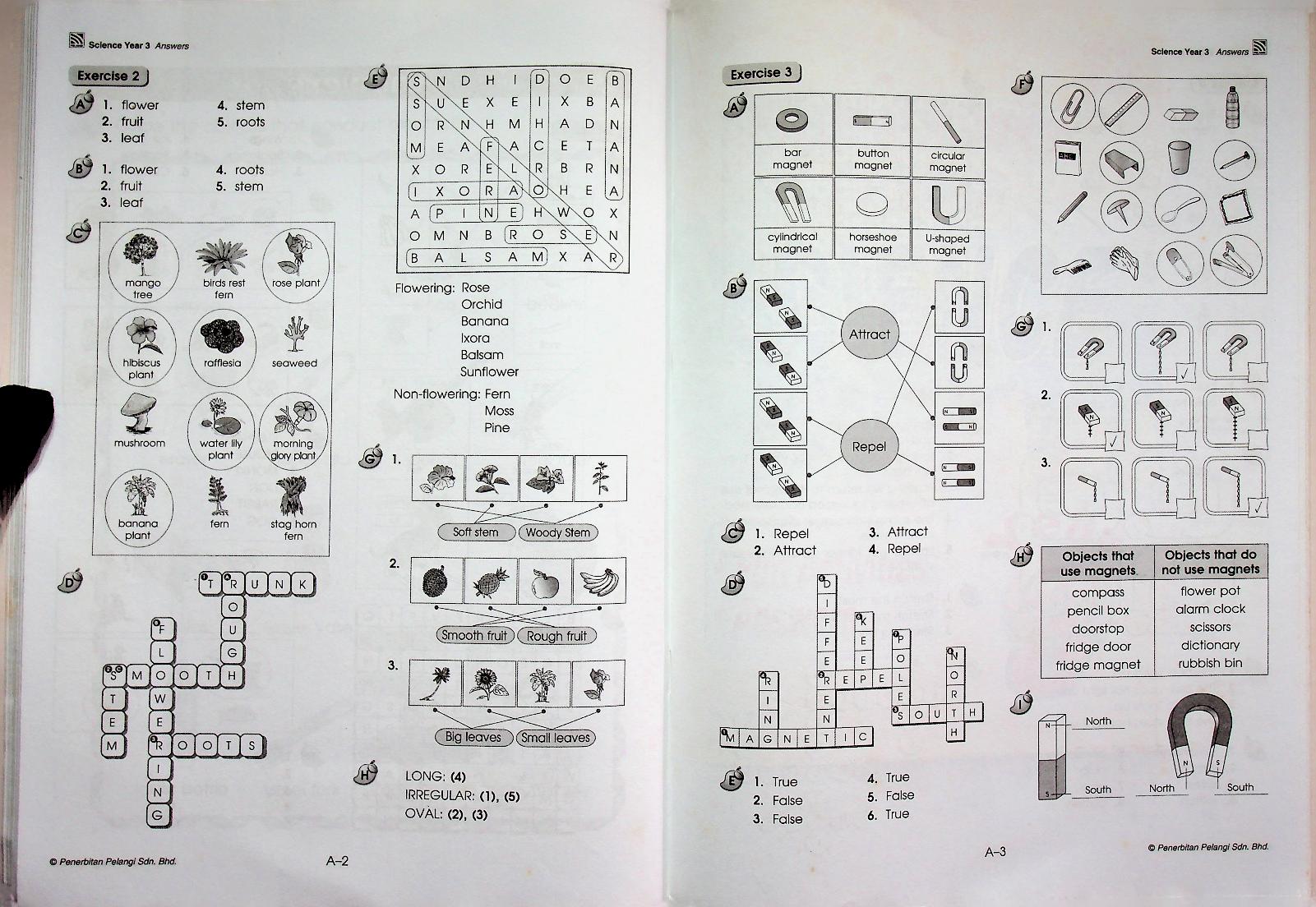 Prime Assessment ICPS SCIENCE Year 3