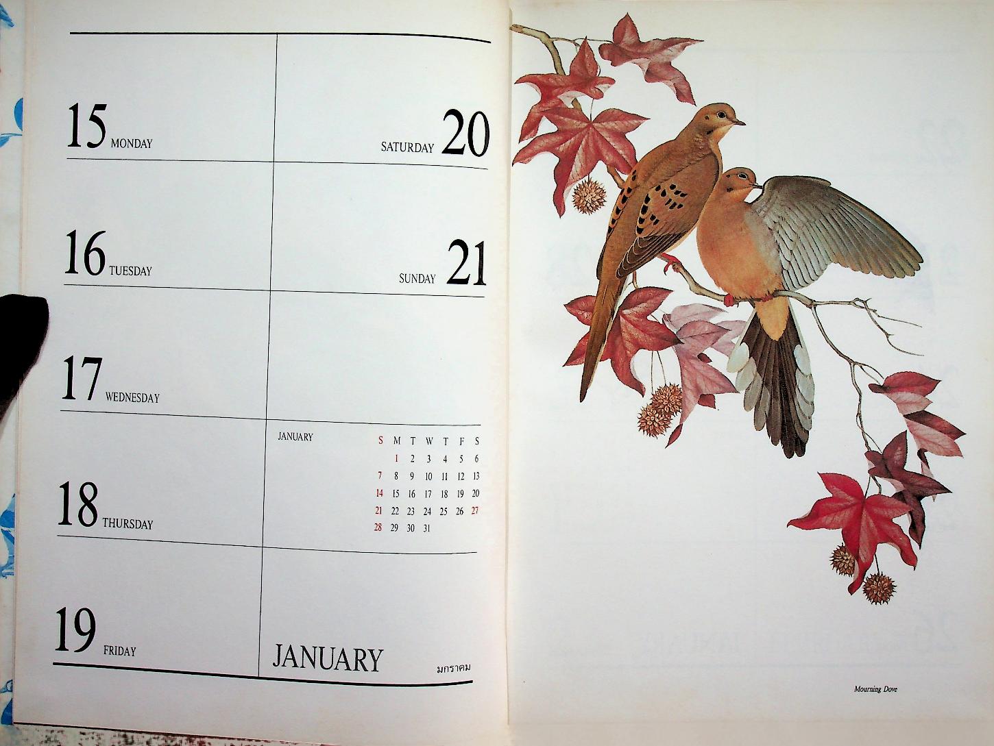 สมุดไดอารี่ ภาพวาดนก EXOTIC BIRDS : CENTRAL DIARY 1990