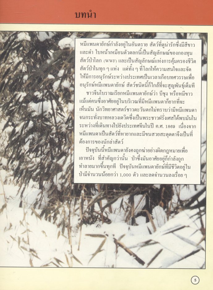 สารานุกรมชุด การอนุรักษ์สัตว์ป่า หมีแพนด้ายักษ์