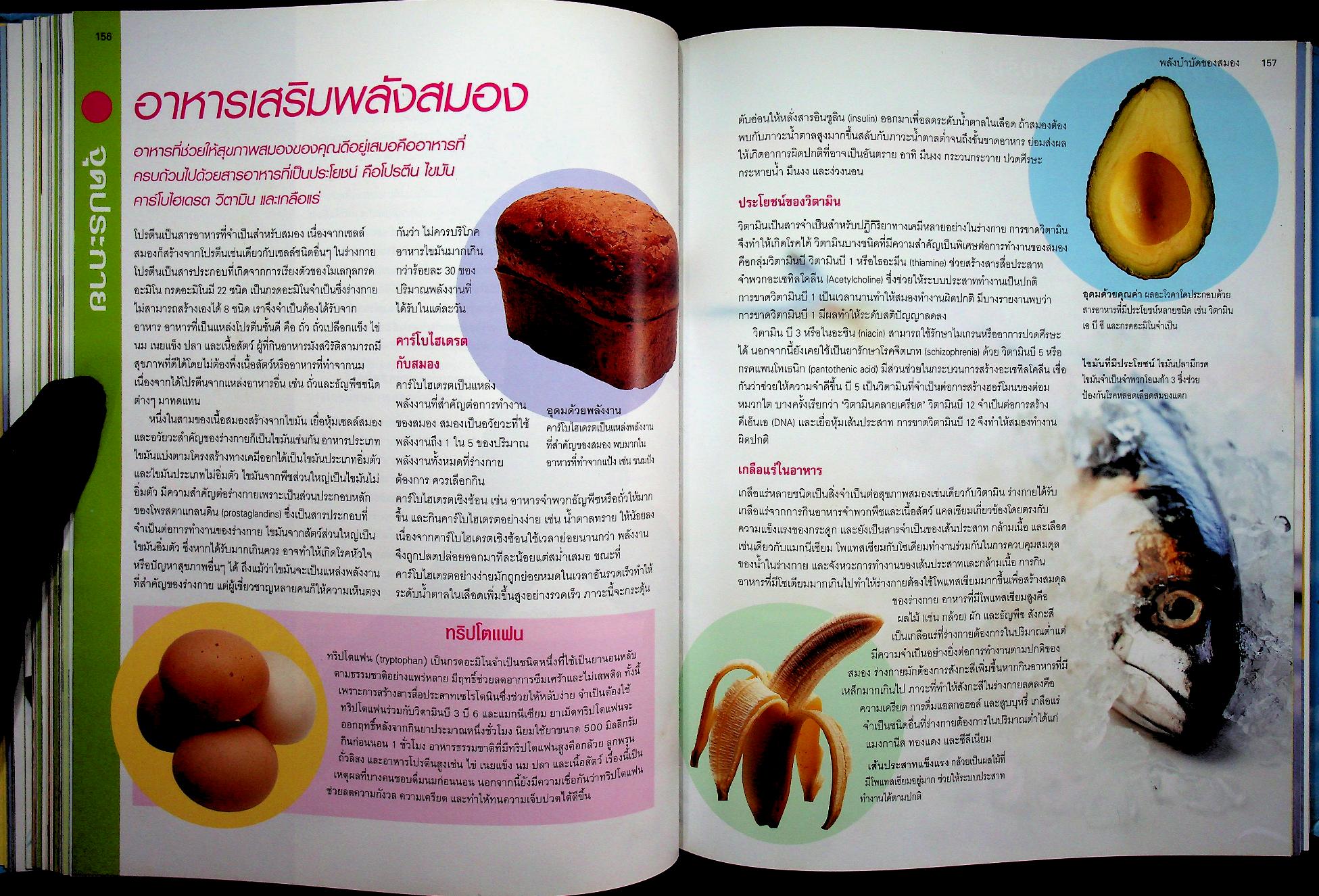 เพิ่มประสิทธิภาพพลังสมอง