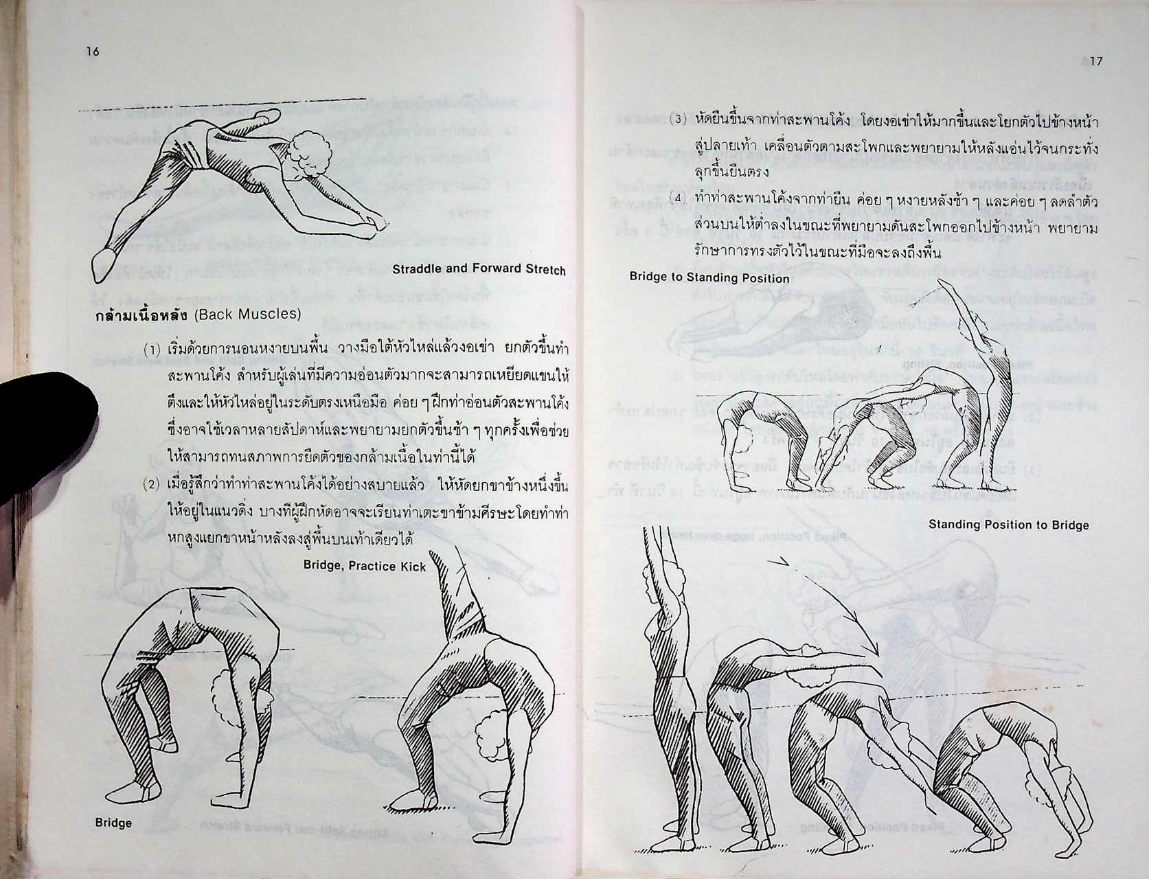 หนังสือภาพประกอบกีฬา ยิมนาสติคส์หญิง ประเภทอุปกรณ์ฟลอร์เอกเซอร์ไซส์