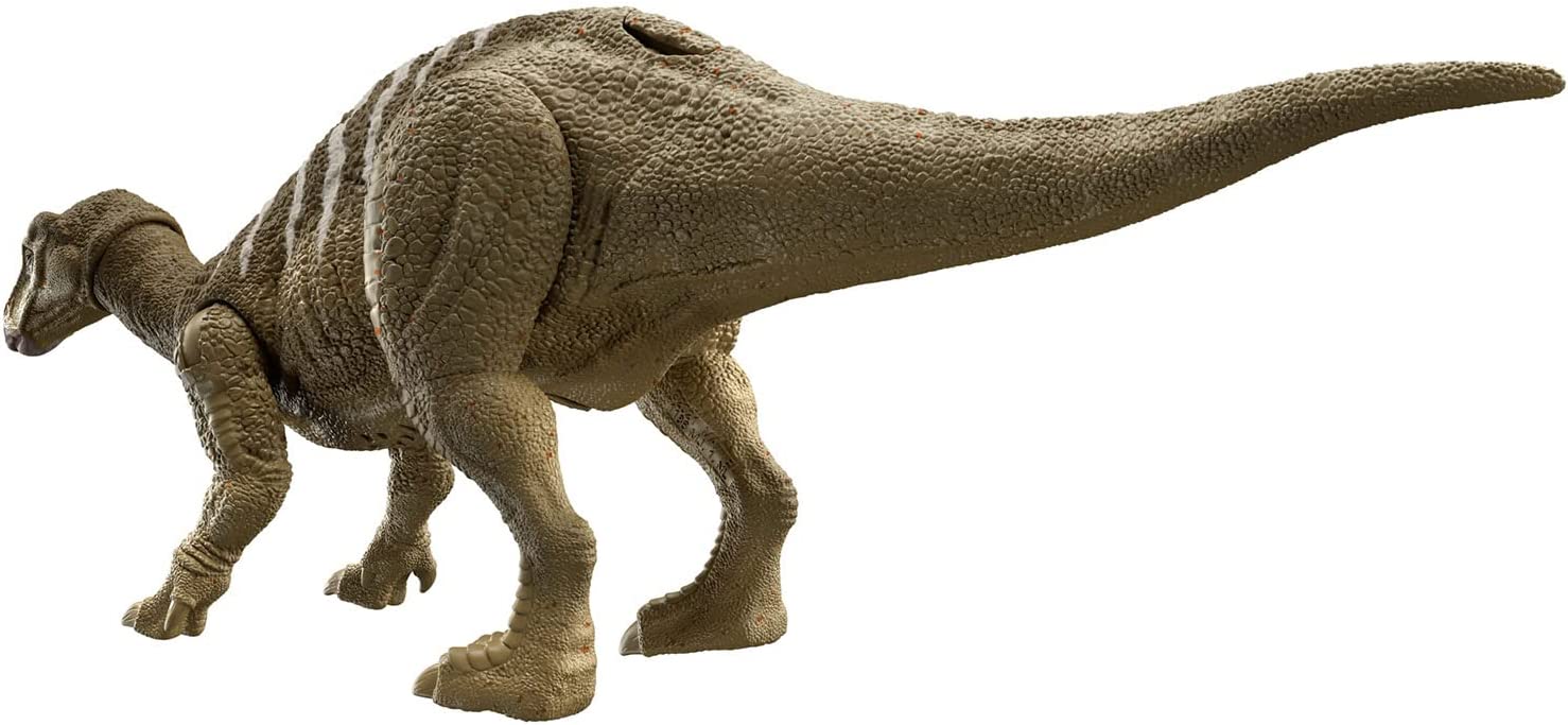 **MTS Toys**Mattel Jurassic World Dominion Roar Strikers : HDX41 Iguanodon [ความยาวจากหัวถึงหาง 30 ซ.ม.]
