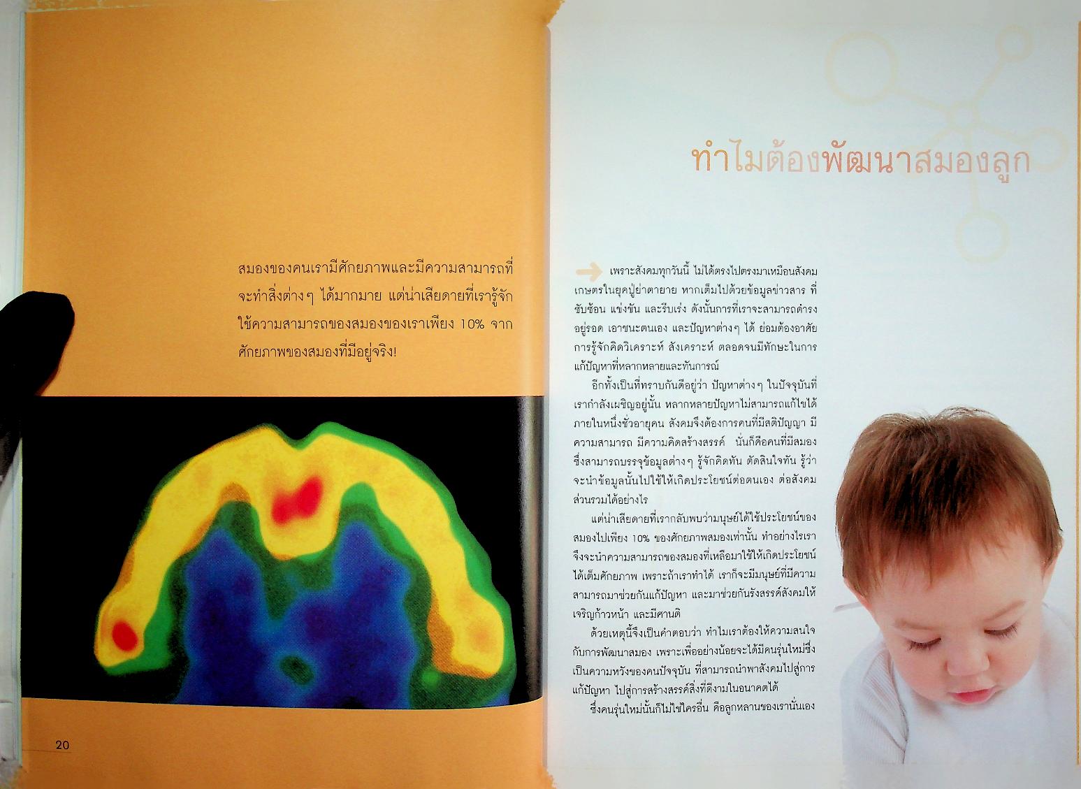 คู่มือพัฒนาสมองลูกด้วยสองมือพ่อแม่