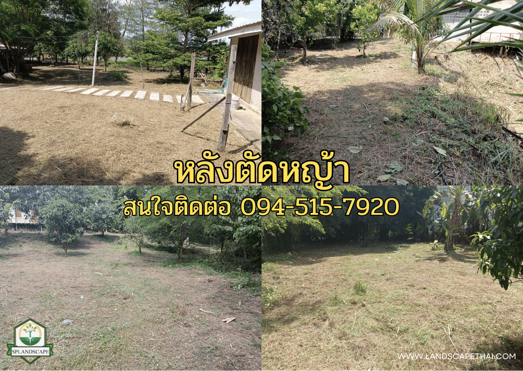 บริการรับตัดหญ้า เคลียร์ริ่ง ถางป่า กาญจนบุรี โทร. 094-515-7920