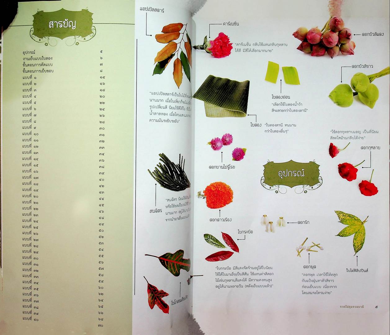 ๔๐ IDEA กลีบบัวบาน กับการเย็บแบบ