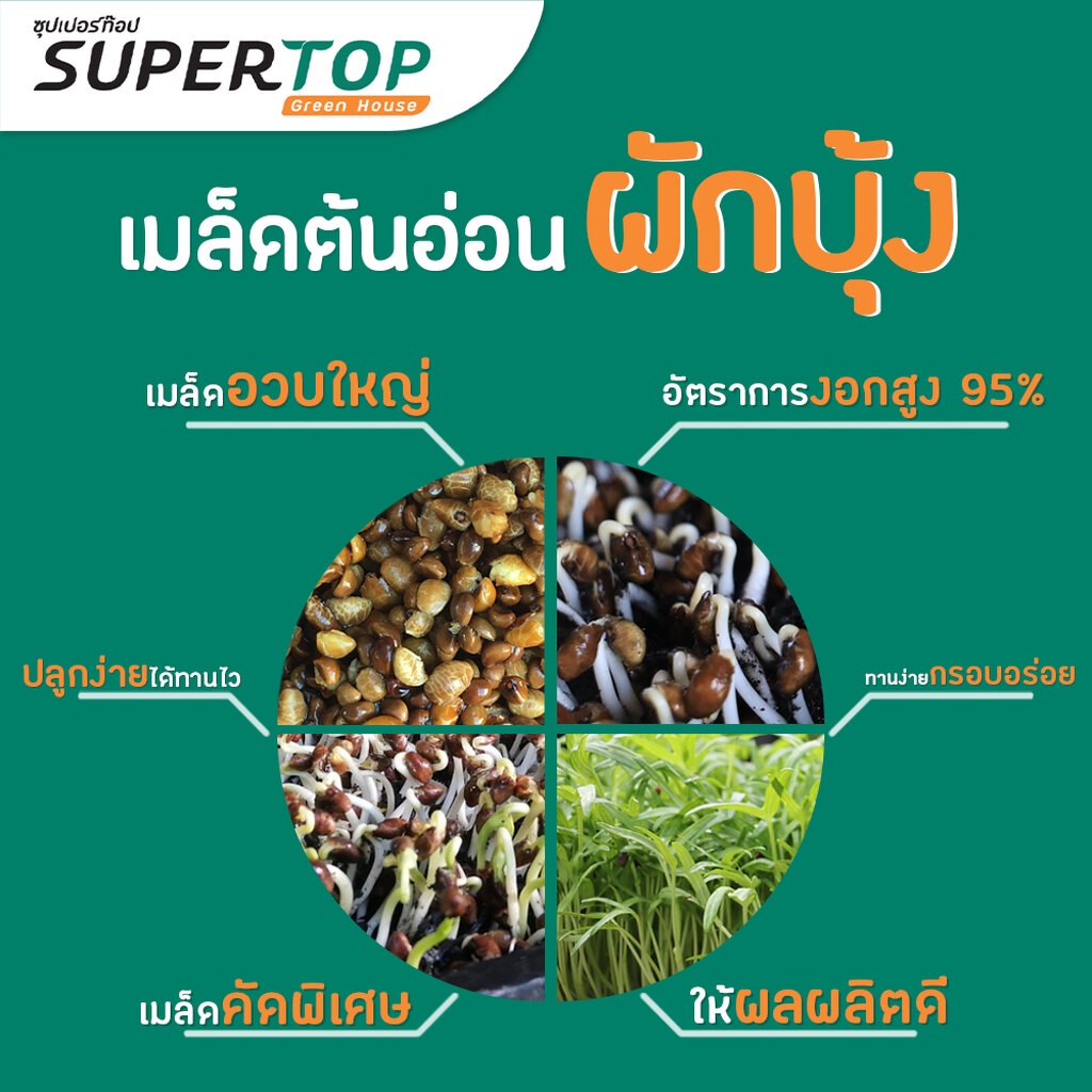 เมล็ดเพาะต้นอ่อน ผักบุ้งจีน พันธุ์เรียวไผ่ (Water convolvulus Microgreen) SUPERTOP ขนาด 1 KG.