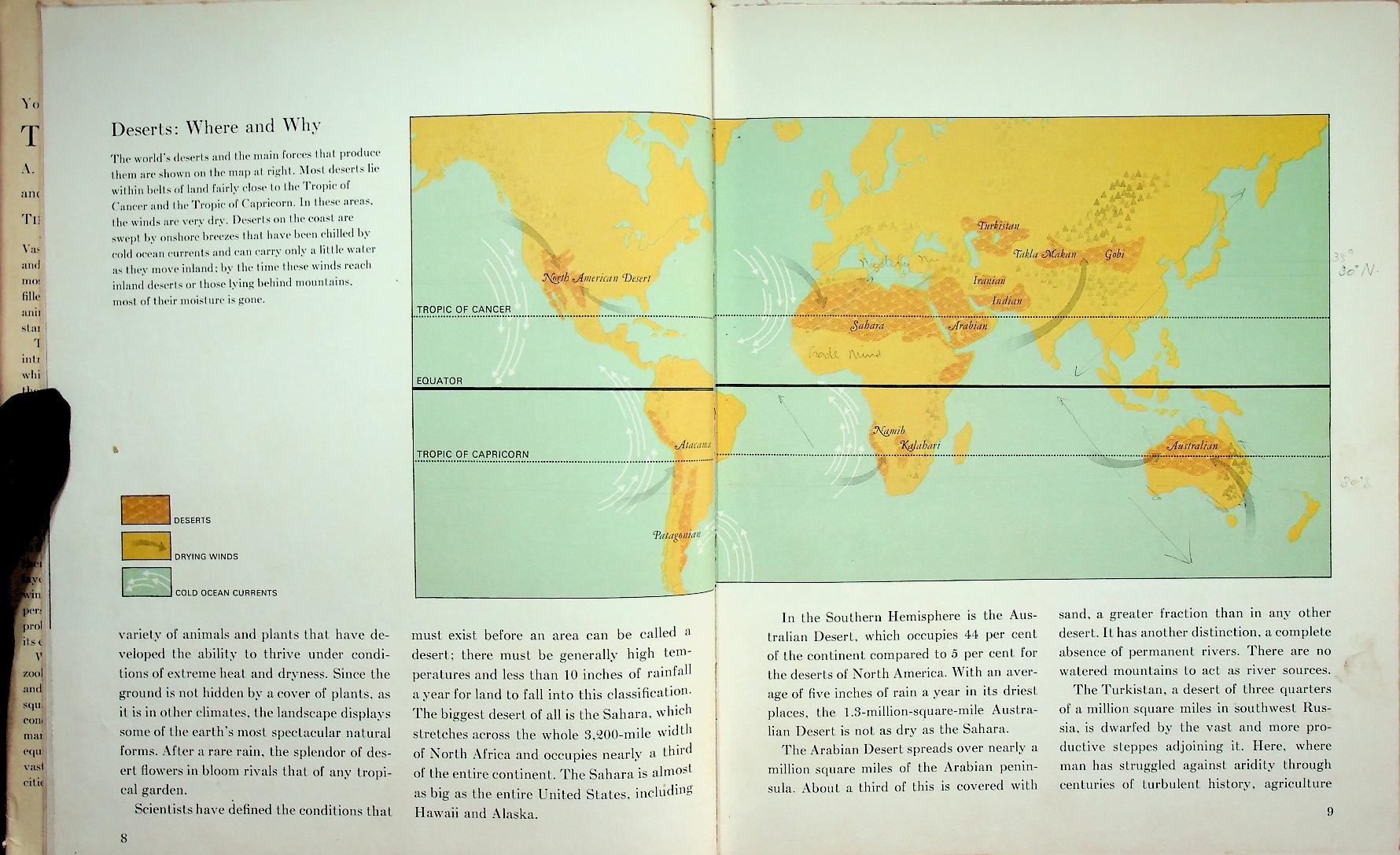 Young Readers Edition : THE DESERT