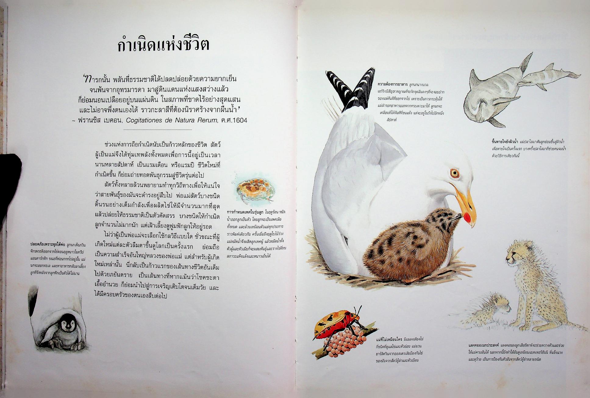 สำรวจชีวิตสัตว์โลกผู้น่าทึ่ง