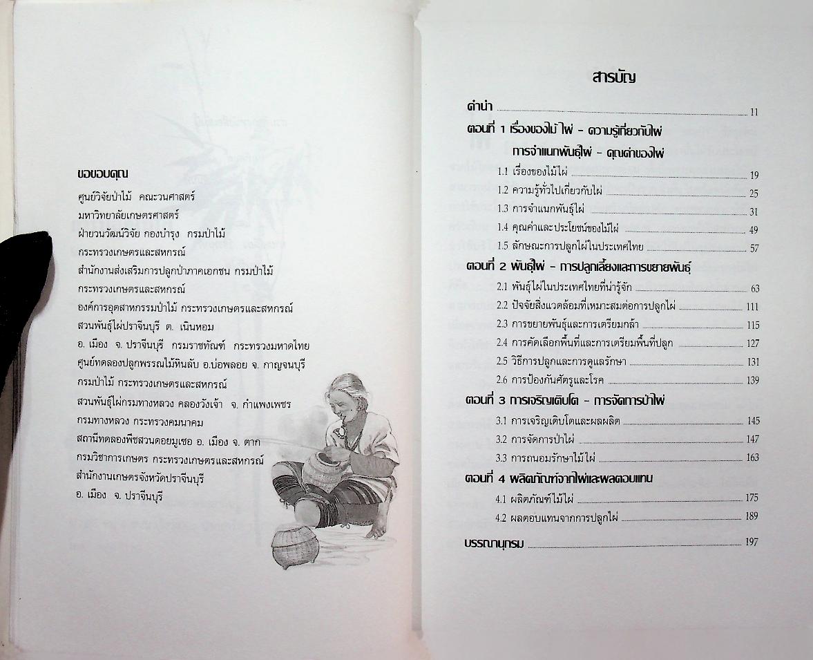 การปลูกไม้ไผ่