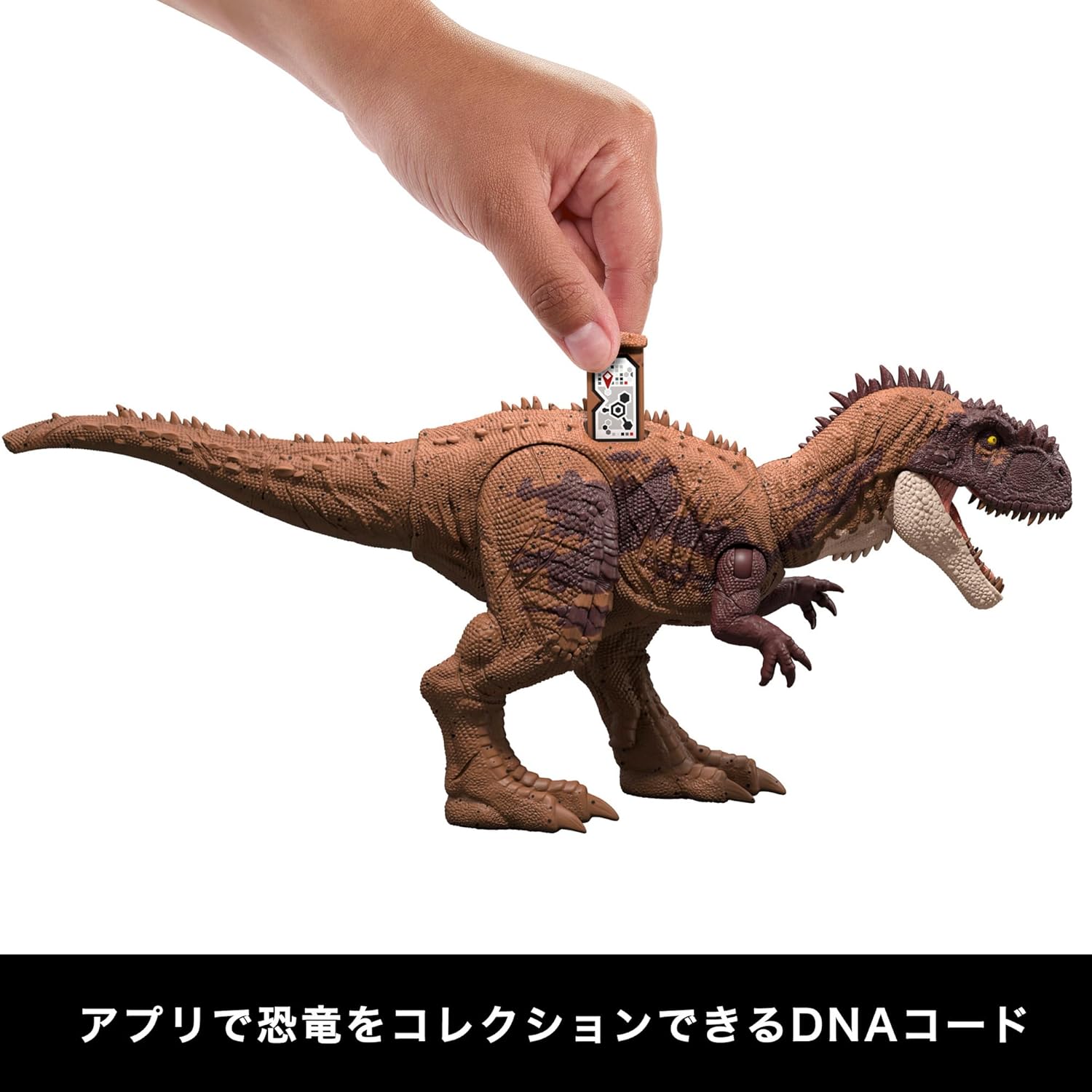 **MTS Toys**Mattel Jurassic World Wild Roar : JCL64 Kryptops [ความยาวจากหัวถึงหาง 31 ซ.ม.]