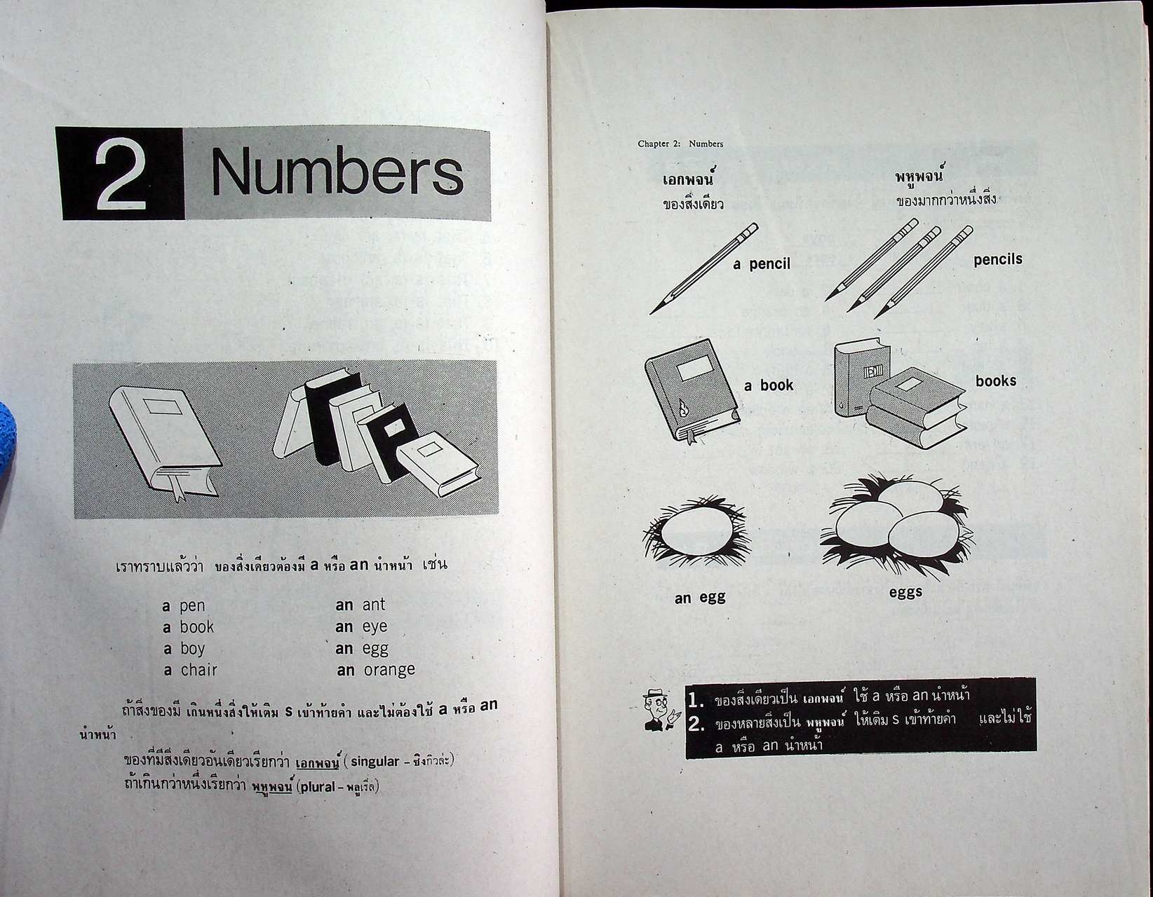 STANDARD EXPRESSION PRATOM 5