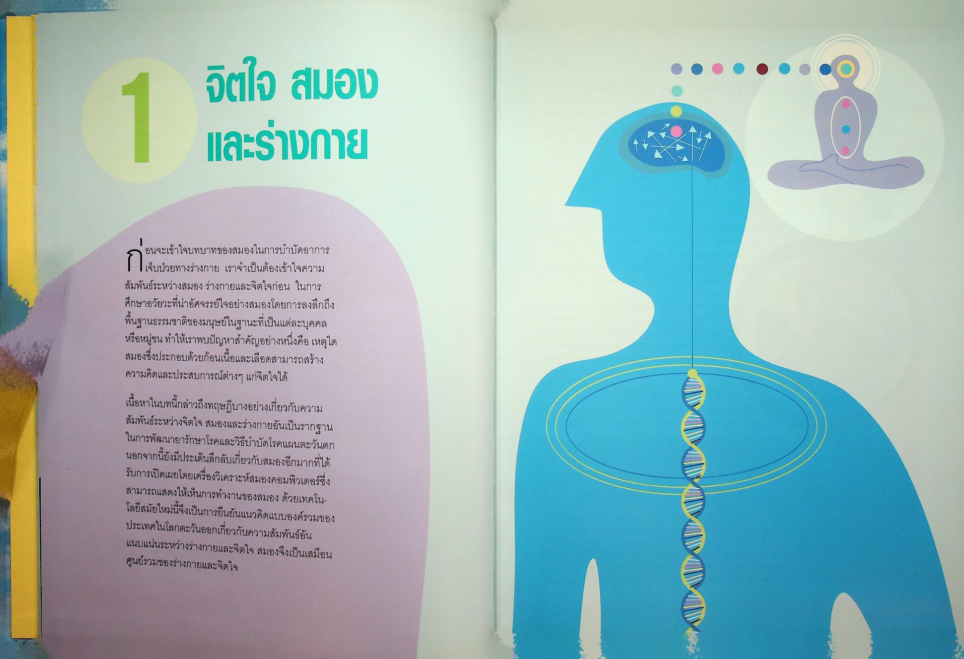 เพิ่มประสิทธิภาพพลังสมอง