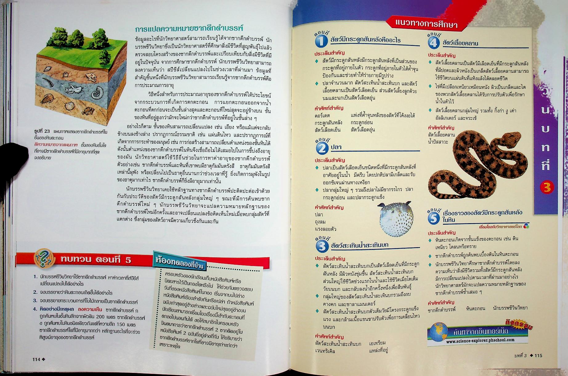 สำรวจโลกวิทยาศาสตร์ ชีวิตสัตว์โลก