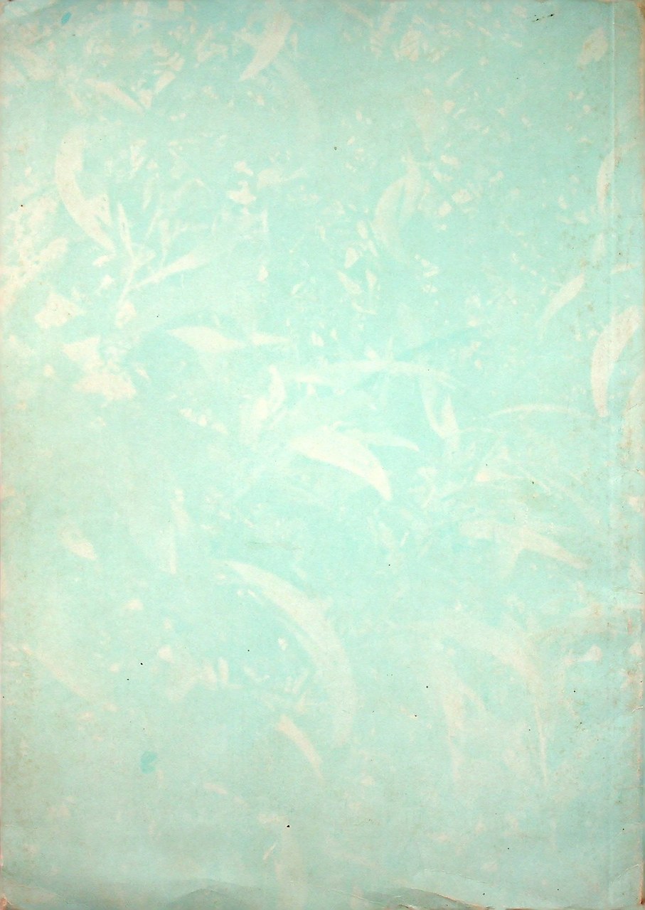 ภาษาไทย - วิชาที่ถูกลืม