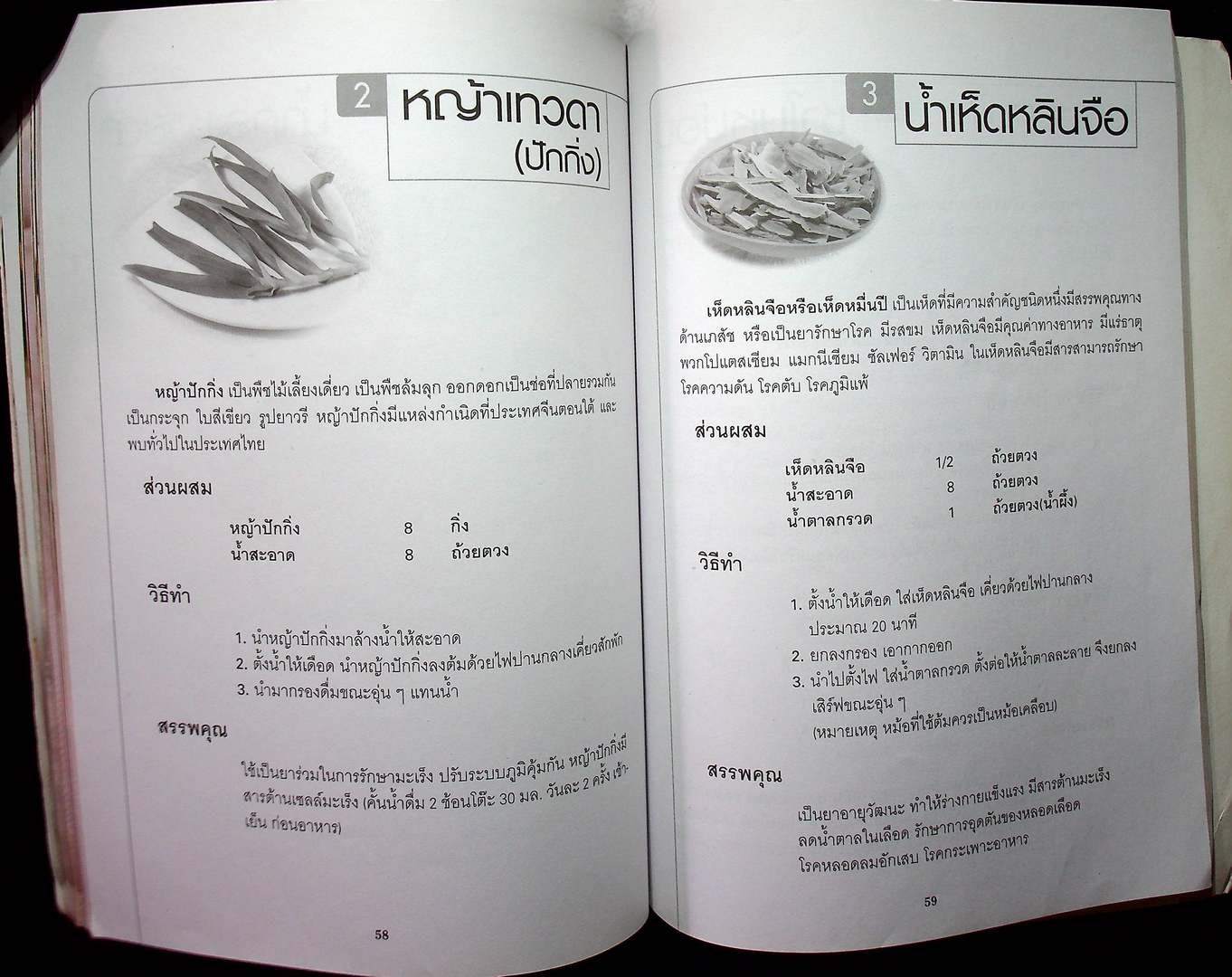 ชาสมุนไพร และน้ำผักสมุนไพร เพื่อสุขภาพและพลังงาน